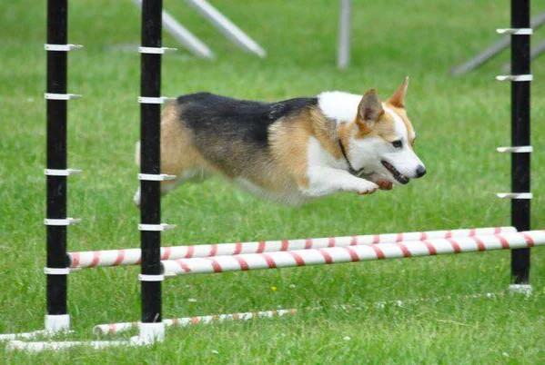 49577984_10110549370768299_7704136748711804928_n.jpg