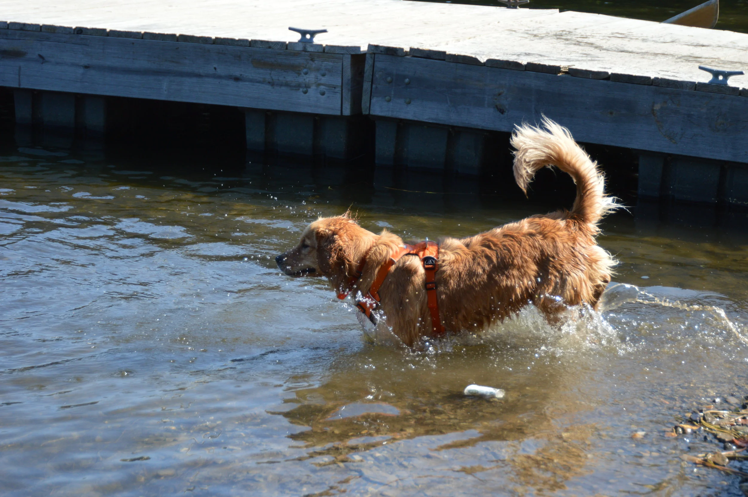 DSC_0341.JPG