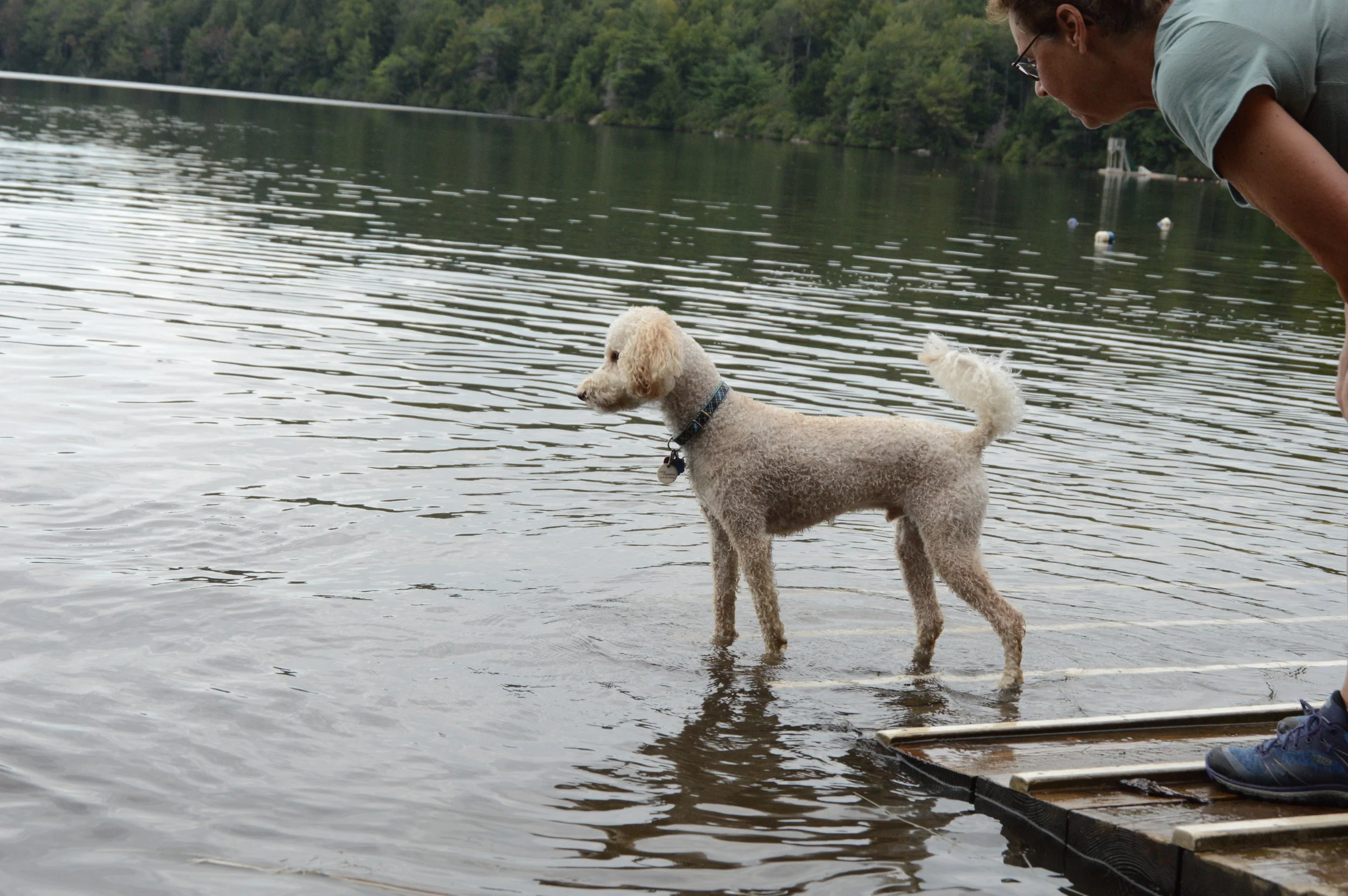 DSC_0332.JPG