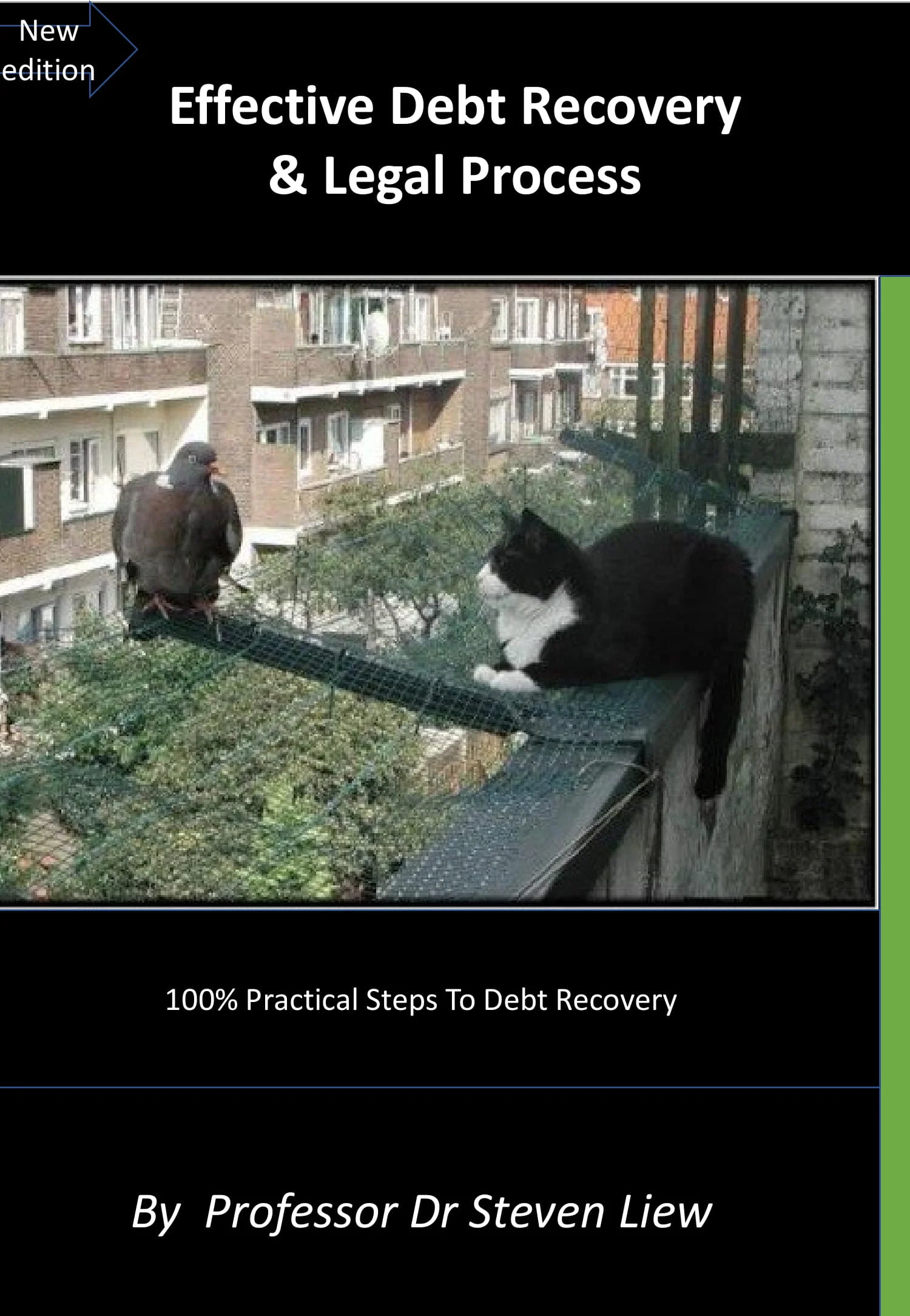 Effective Debt Recovery  and Legal Process ( e book)