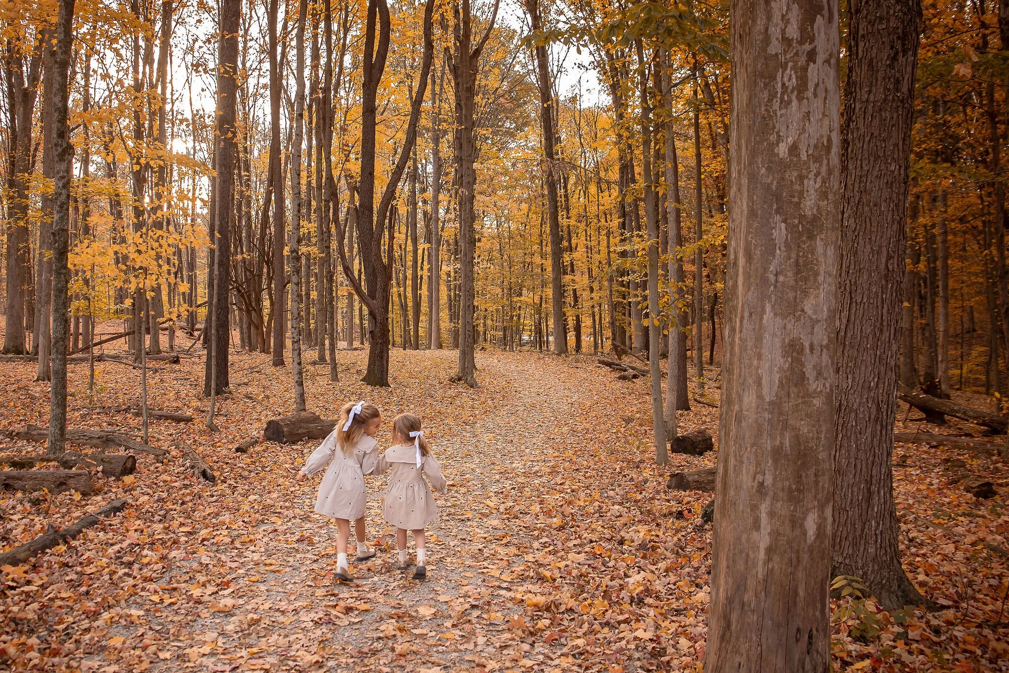 Petapiece_A10_October28,2024_KelliPorterCreative.jpg