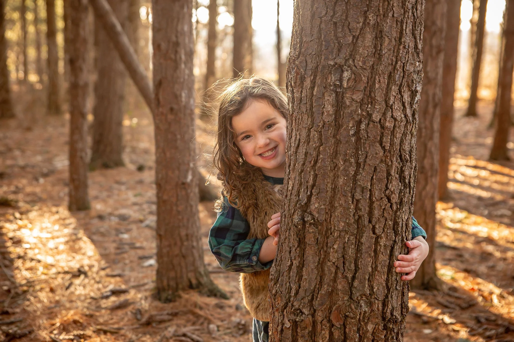 Gray_A19_December30,2024_KelliPorterCreative_TallPines.jpg