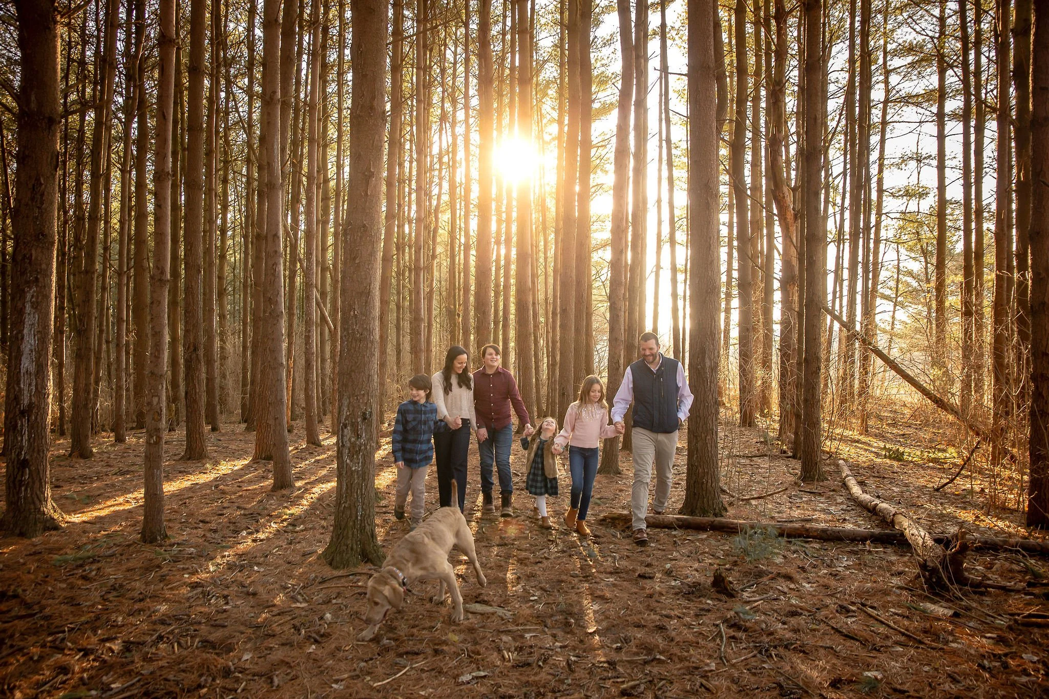Gray_A53_December30,2024_KelliPorterCreative_TallPines.jpg