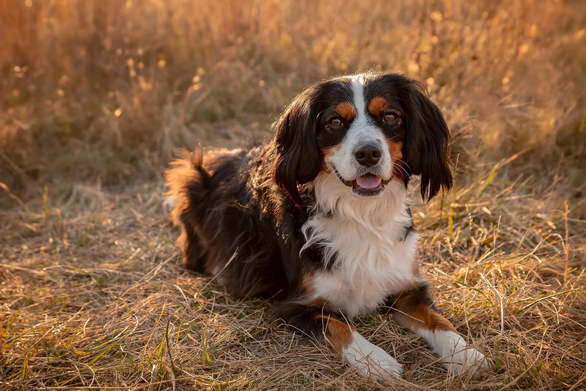 Campbell_A9_November08,2023_KelliPorterCreative.jpg