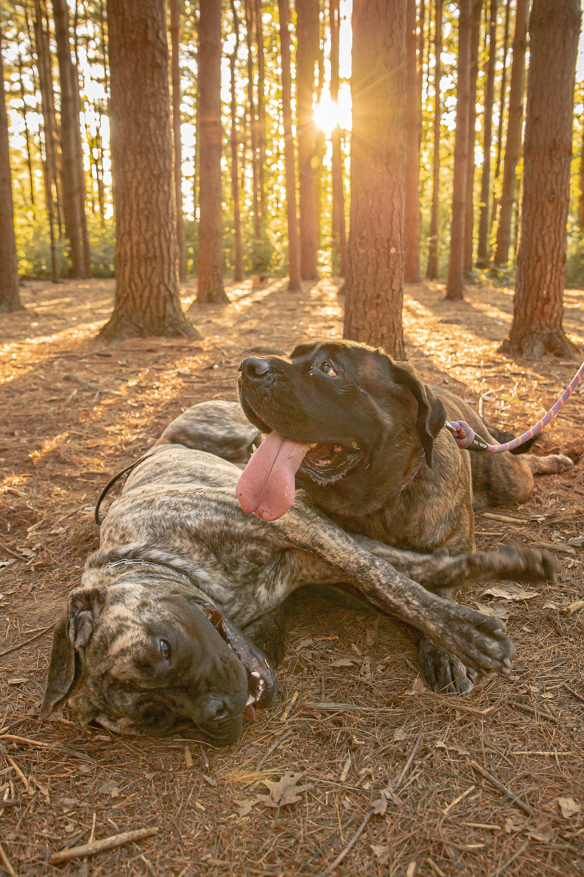 Brita_A8_August26,2022_KelliPorterCreative.jpg