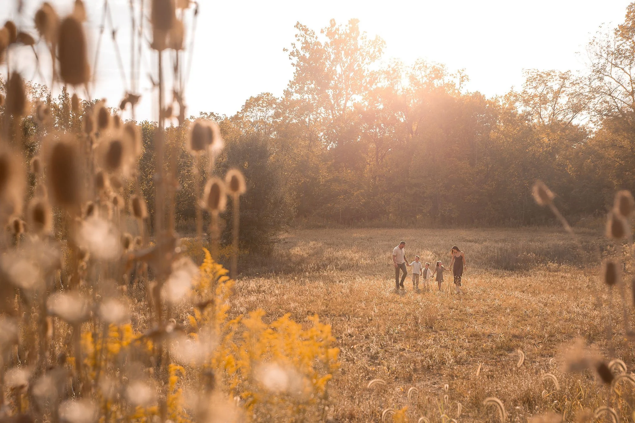 Hartline_AA1_September20,2025_KelliPorterCreative_SRWoodsandCreek.jpg