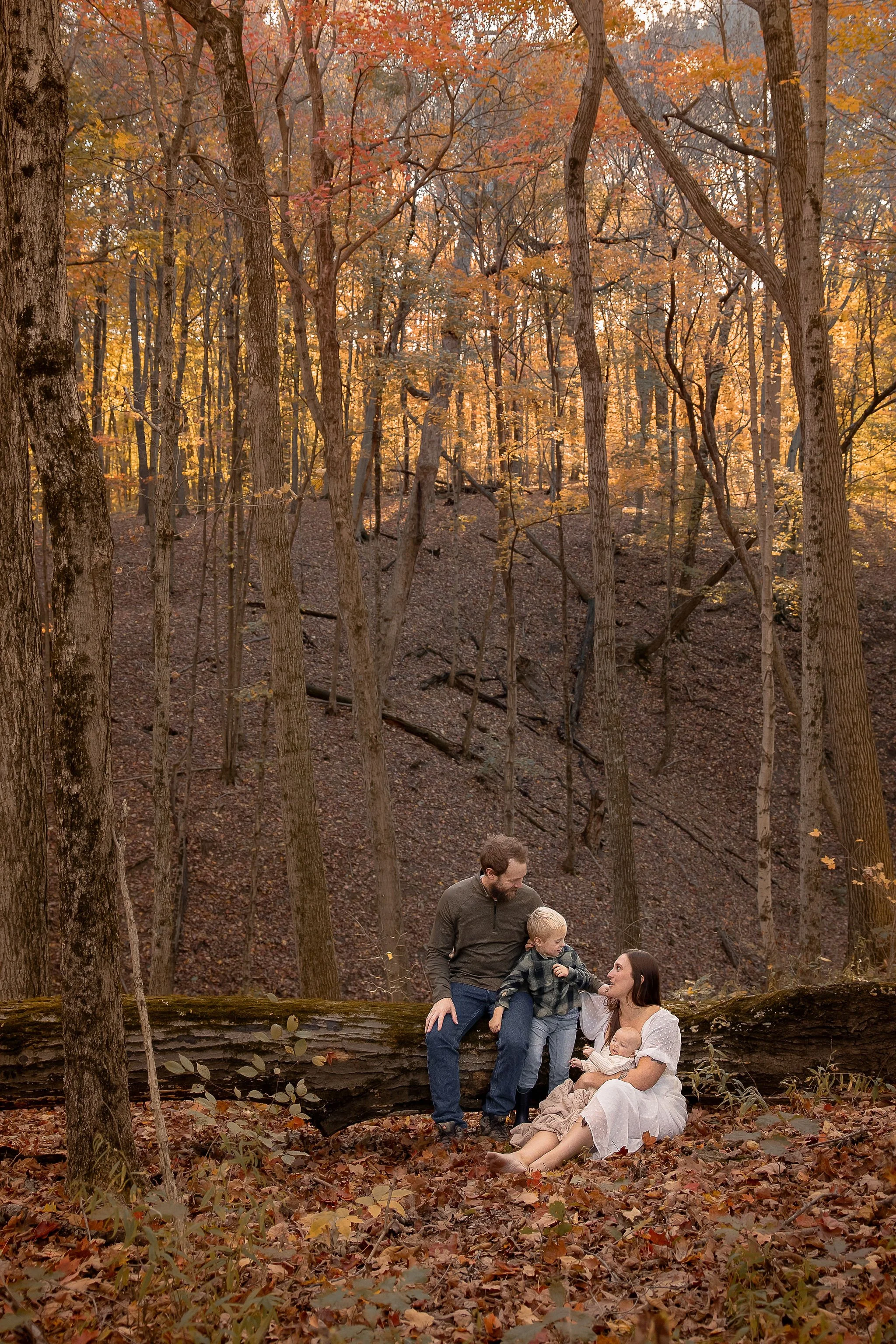 Singer_A58_October20,2025_KelliPorterCreative_Ravine.jpg