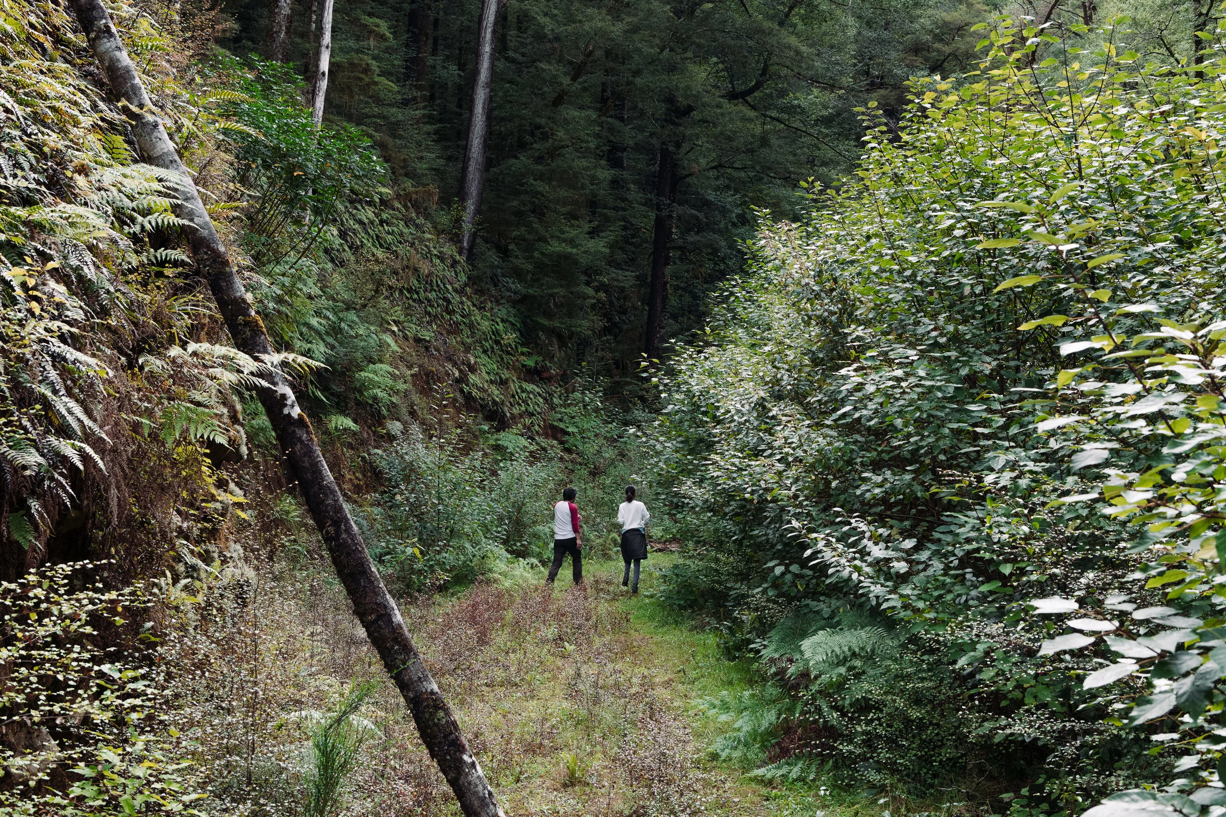 Maruia River Retreat NZ Regenerative Travel
