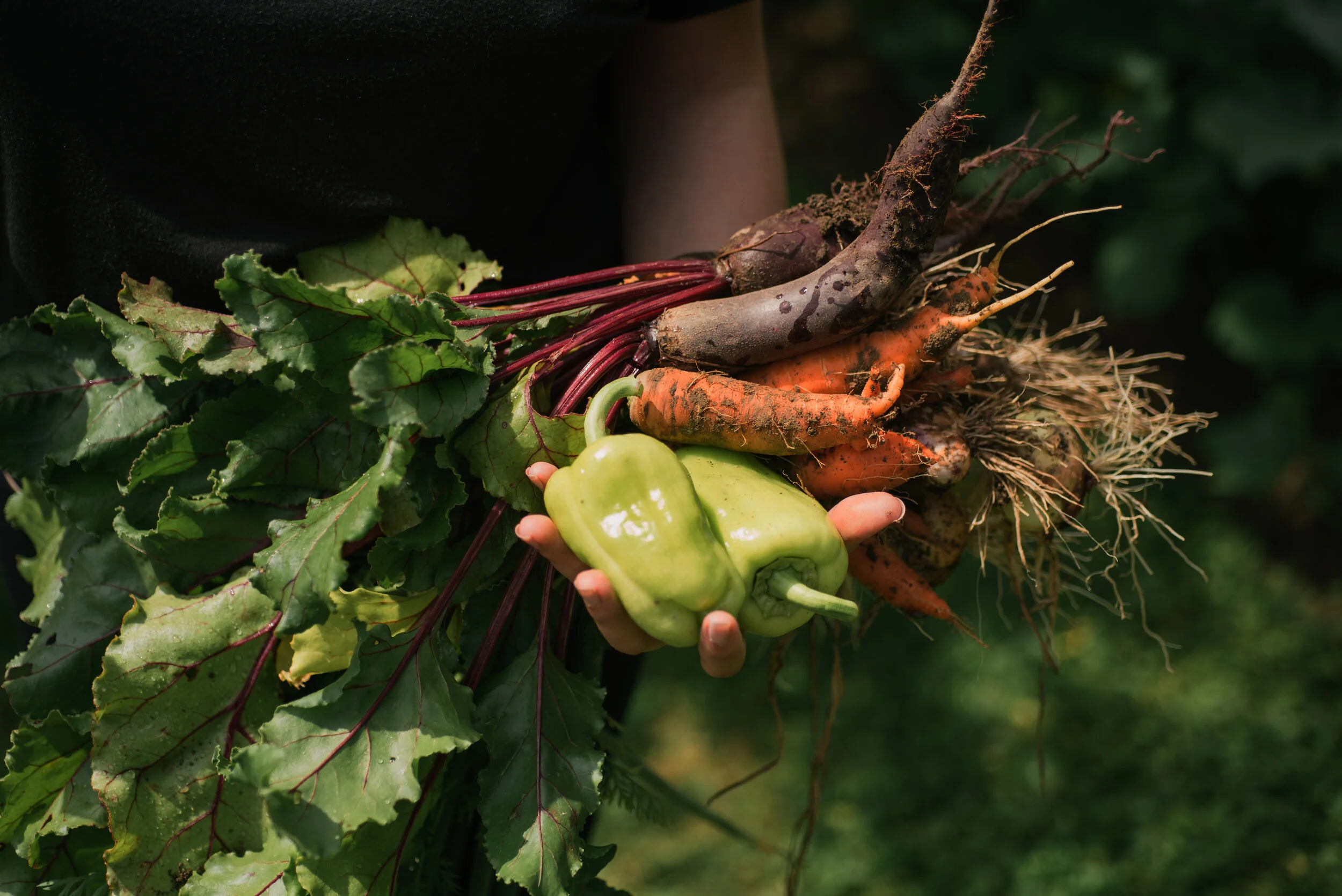 Fresh cuisine at Maruia River Retreat