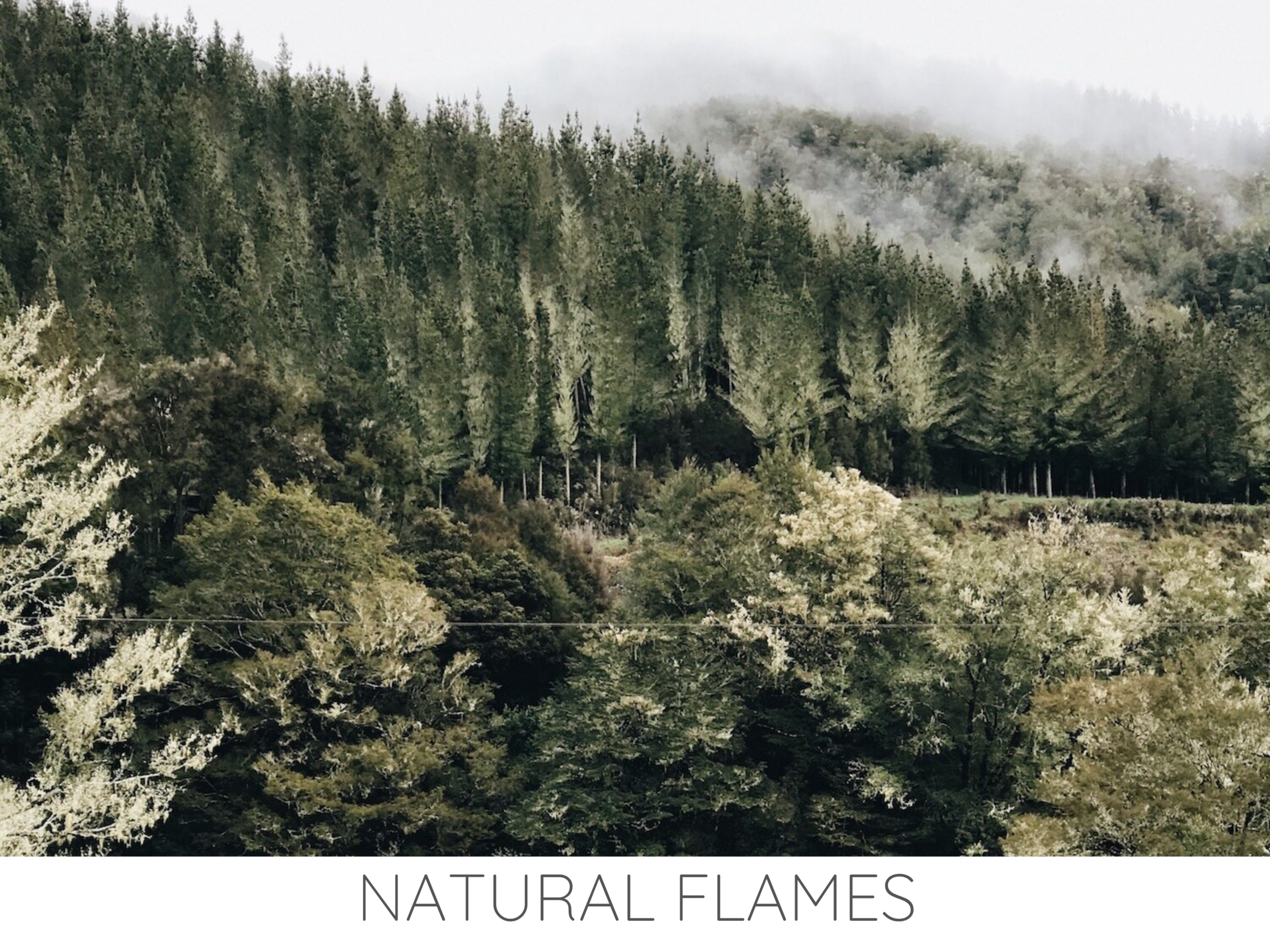 NATURAL FLAMES