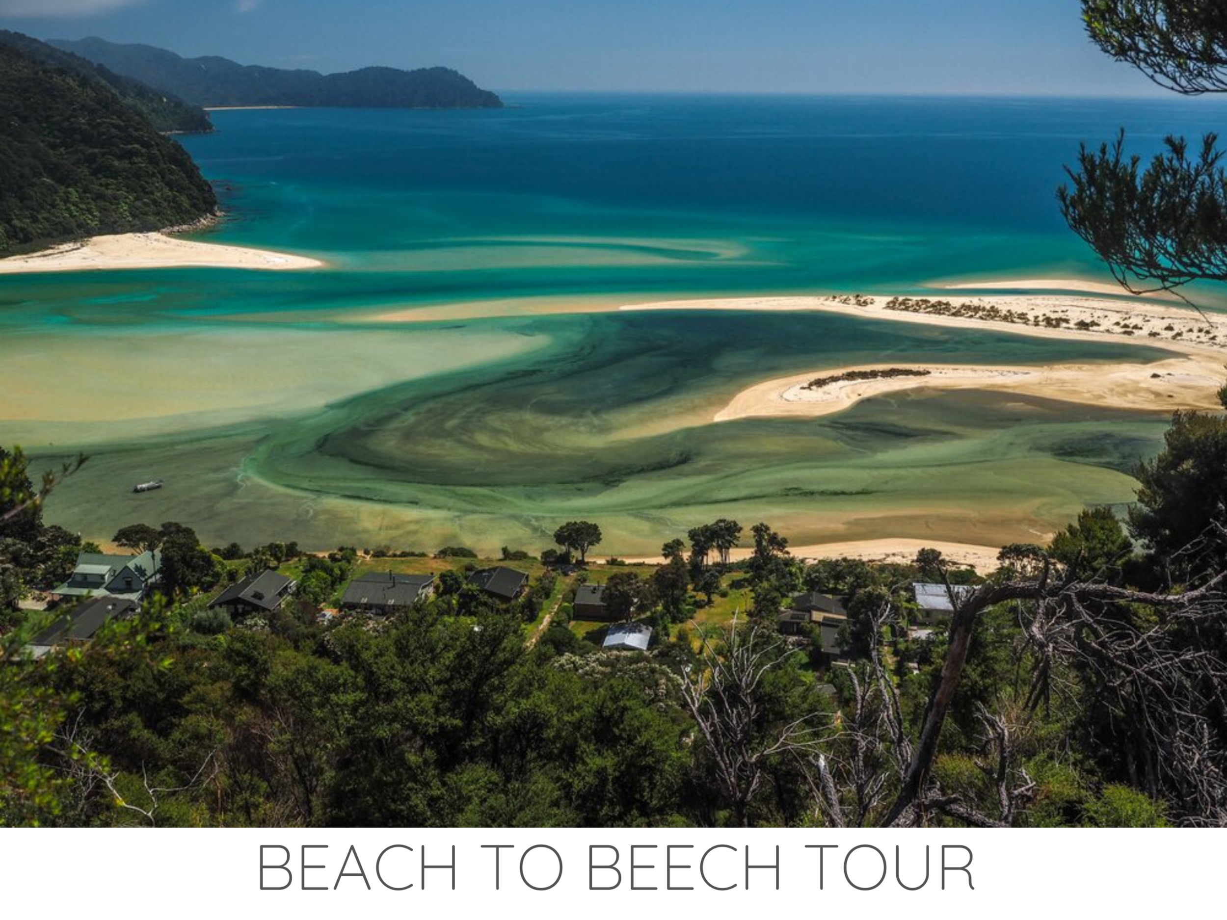 BEACH TO BEECH TOUR