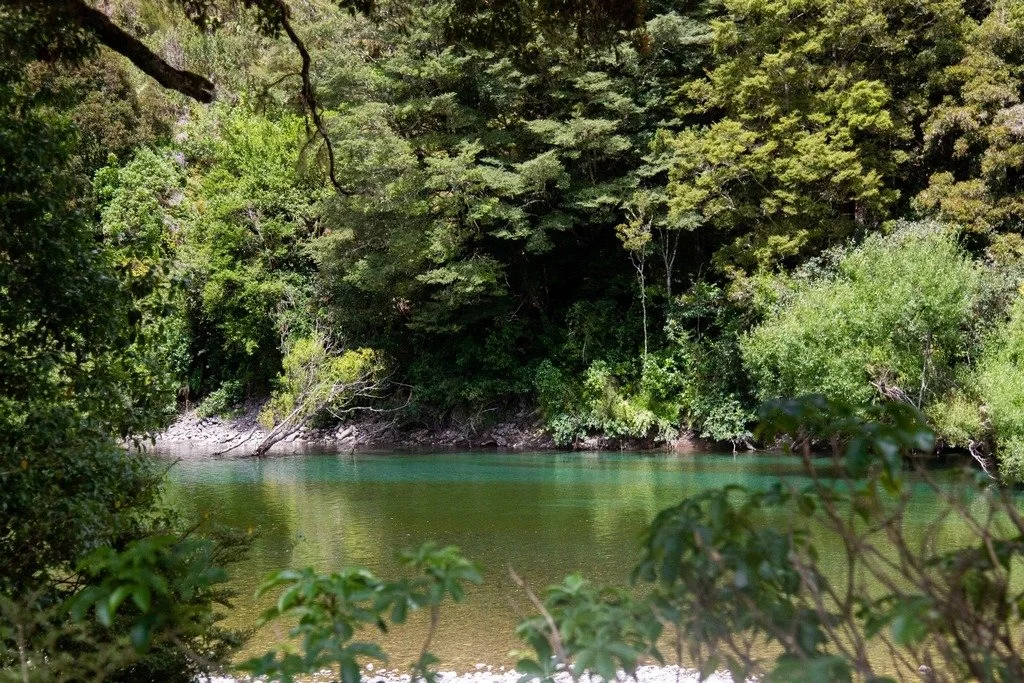 Why Maruia is New Zealand's Ultimate Digital Detox Sanctuary