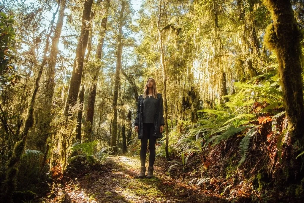 Walk back in time as you enter our old native pristine forest.  Surrounded by 500 acres of exquisite native beech forests, rugged mountain ranges, gardens and terraces, Maruia River Retreat is an extensive natural estate, with very high-ecological si