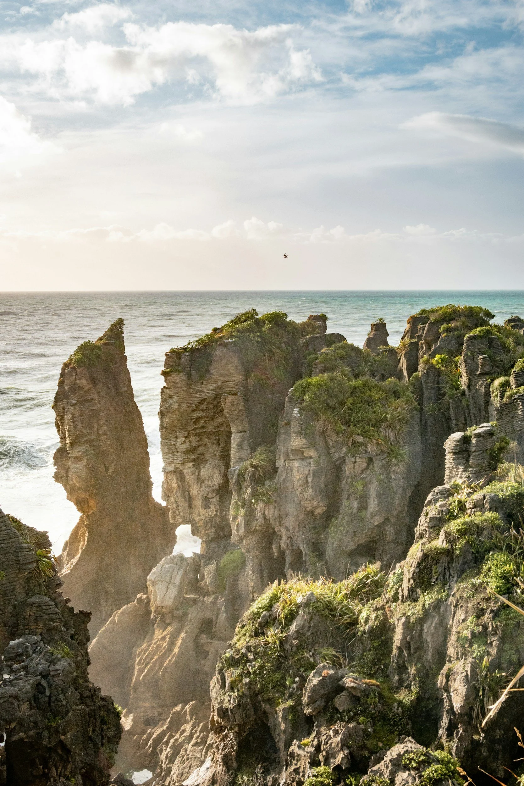 West Coast Punakaiki near Maruia River Retreat NZ