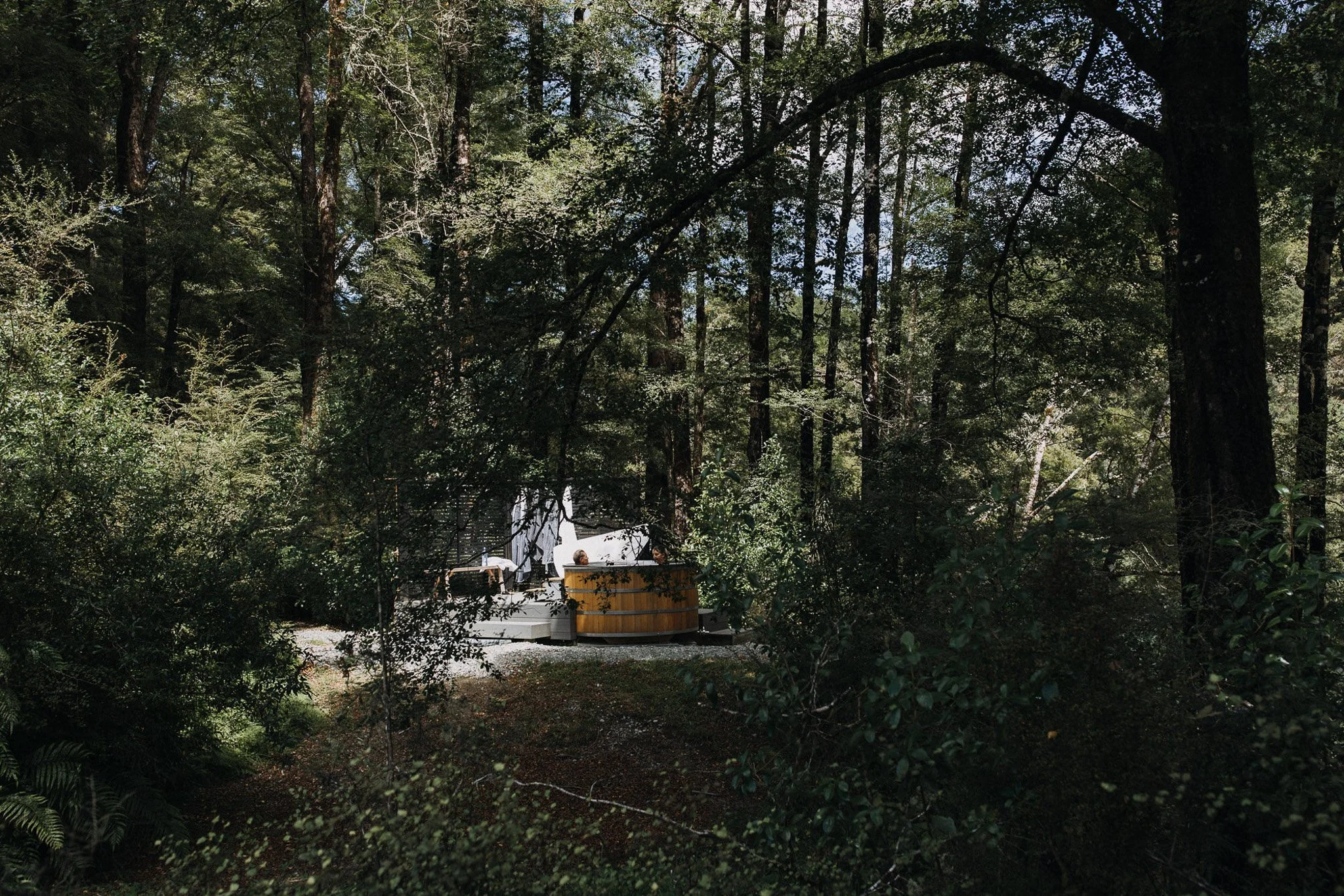 MaruiaRiverRetreat_Private-Forest_Forest-Bathing_EmilyRaftery-2.jpg