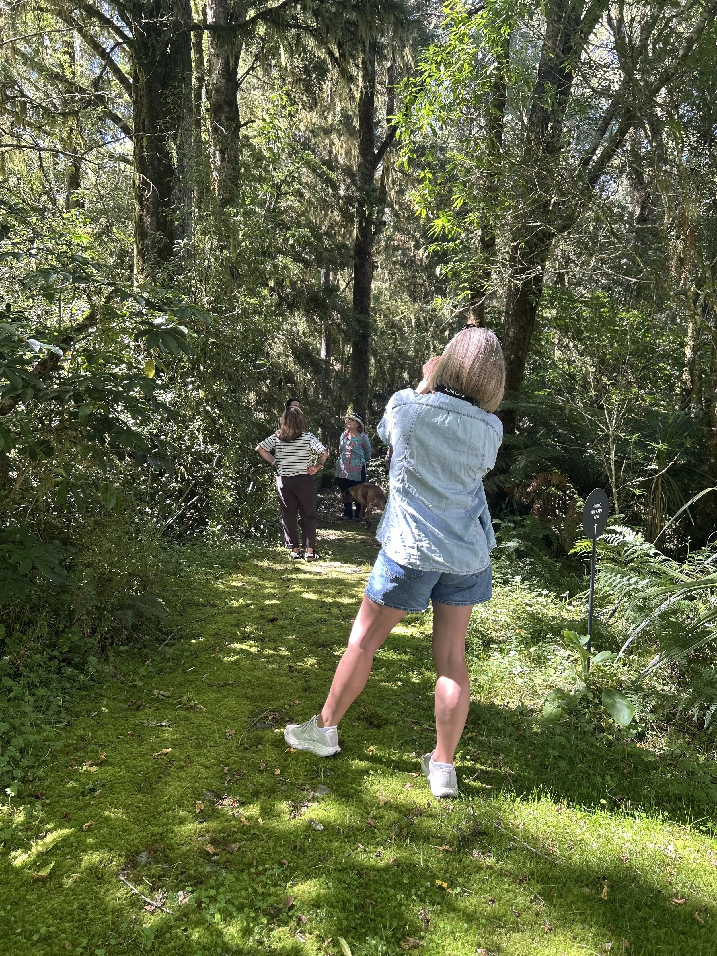 CreativeWriting_Summer.jpg