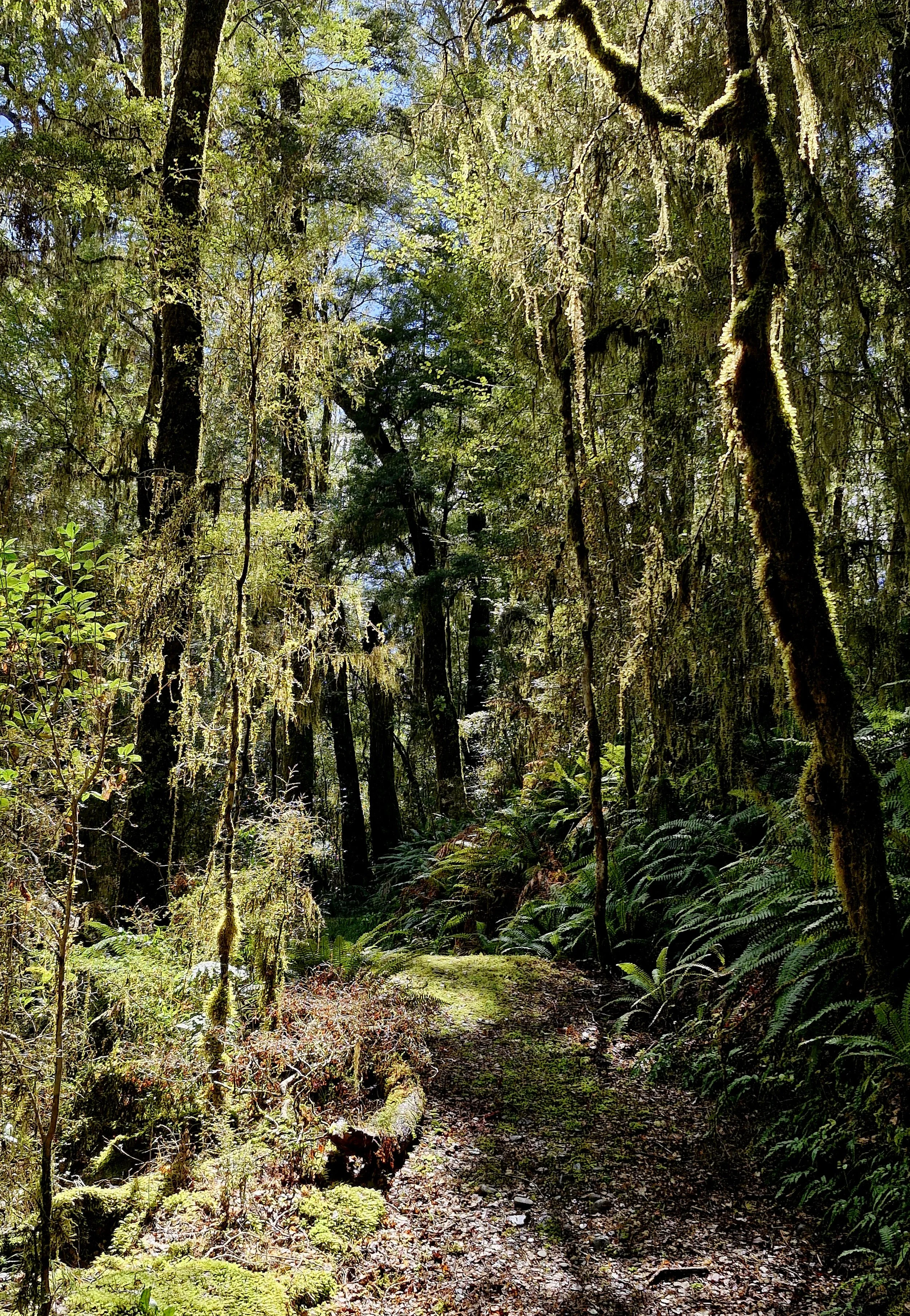 Maruia River Retreat New Zealand