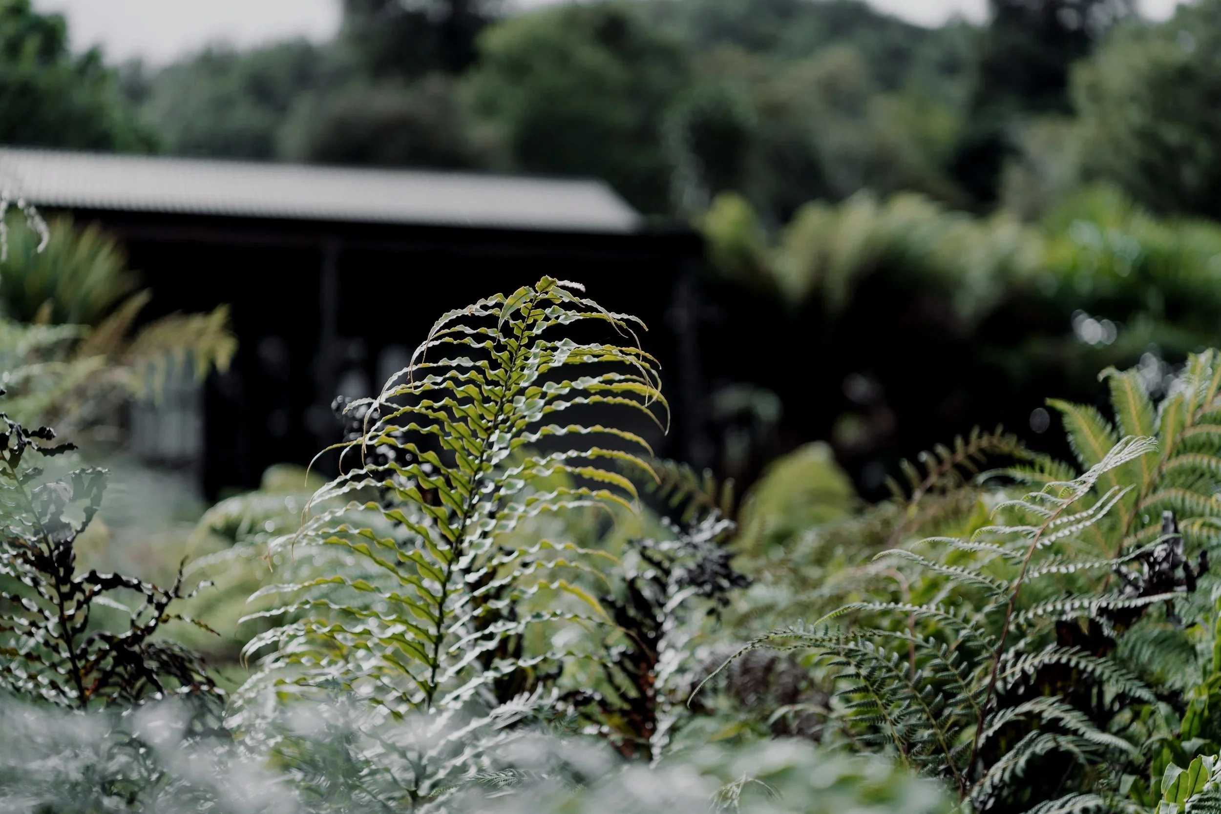 Maruia River Retreat Estate