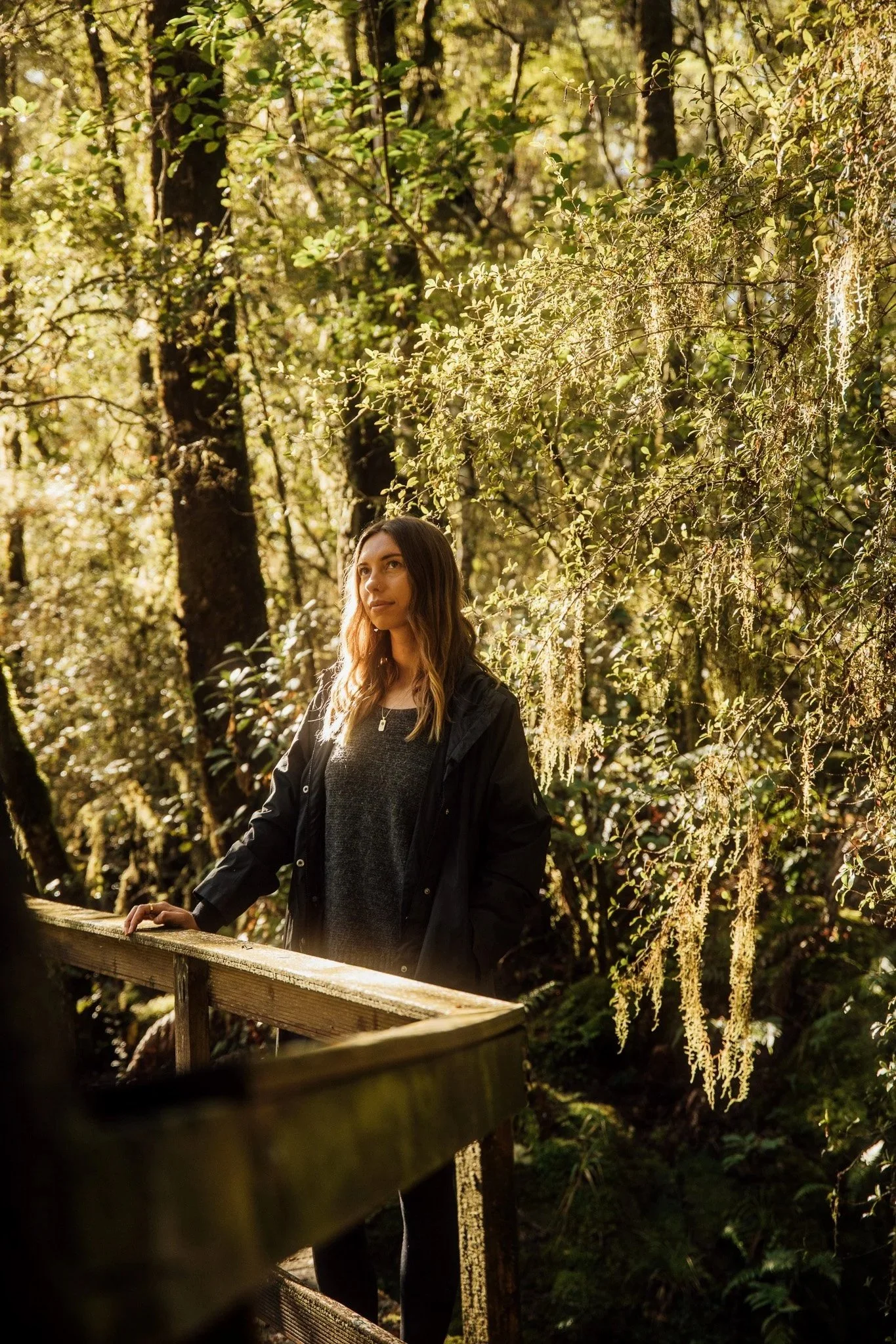 Maruia River Retreat NZ Forest Walk Nature