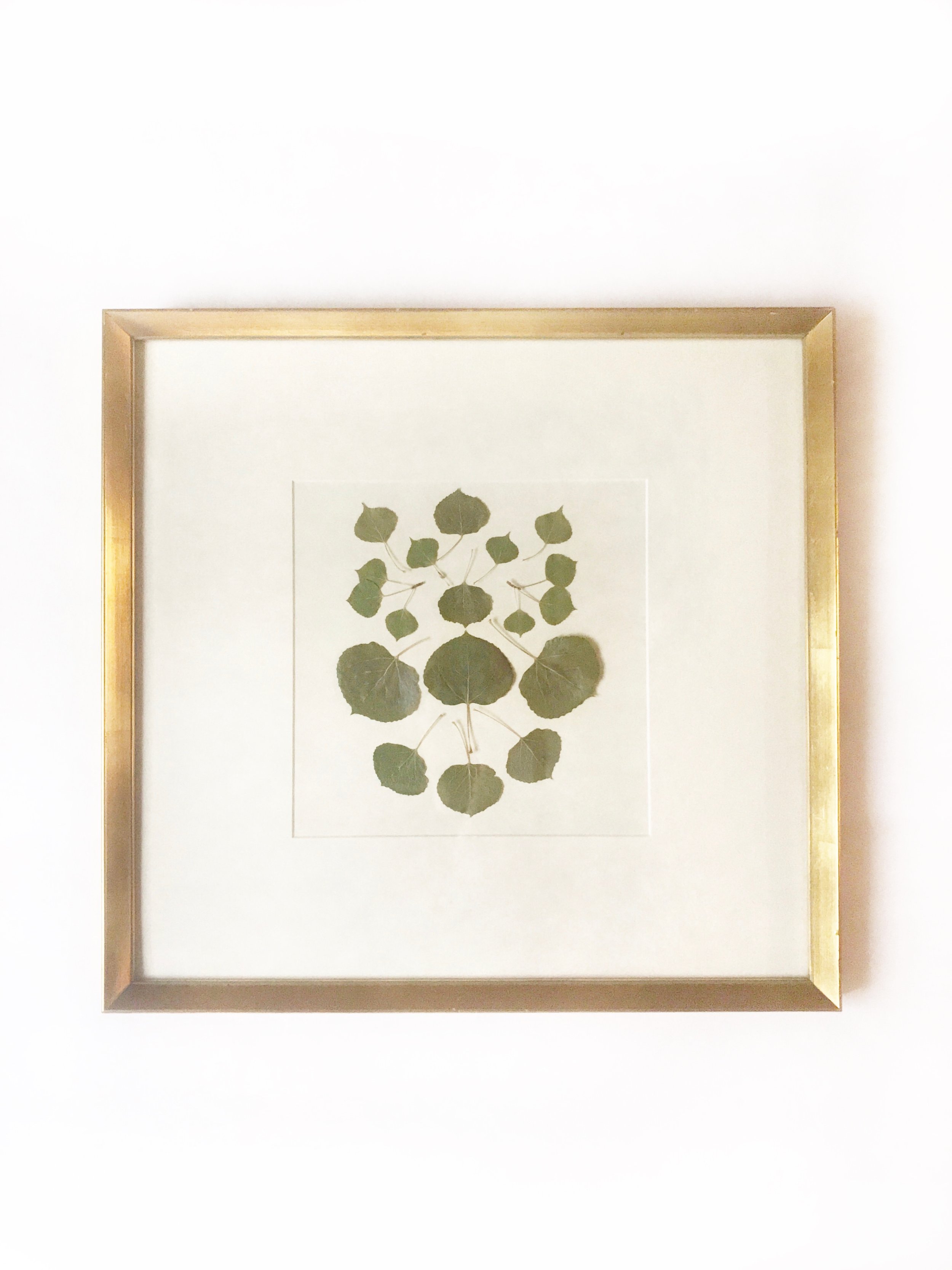 FullSizeRender copy.jpg