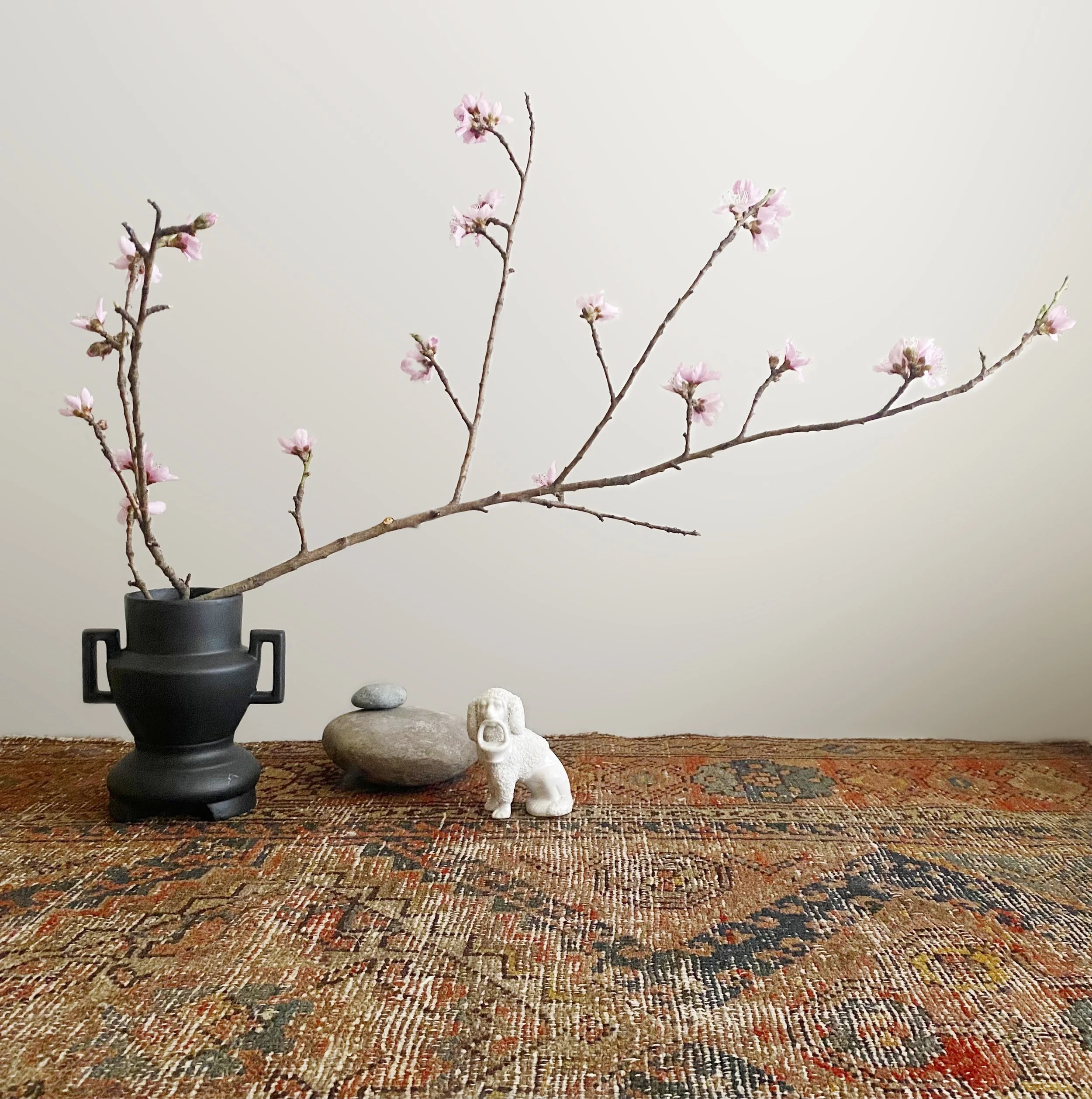 Blossom - Edited.jpg
