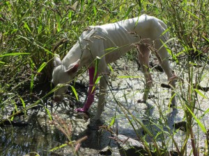 Pierre Huyghe, Untitled , 2012