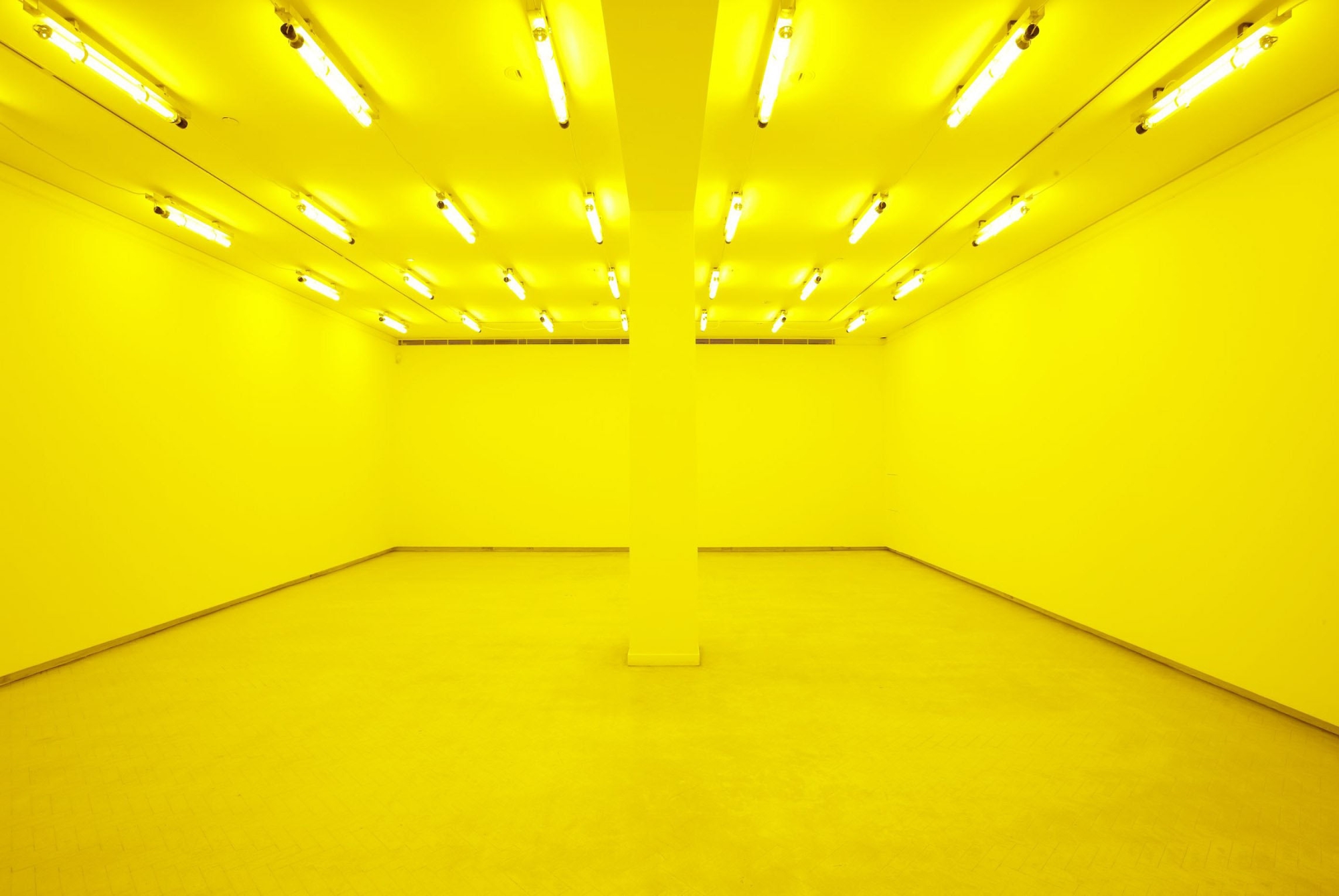 Olafur Eliasson, Room for one colour , 1997