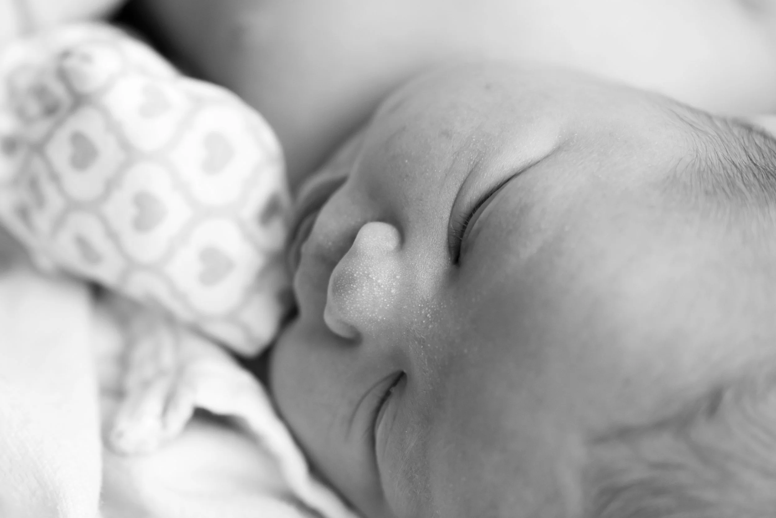 aGMR_4469 BW.jpg