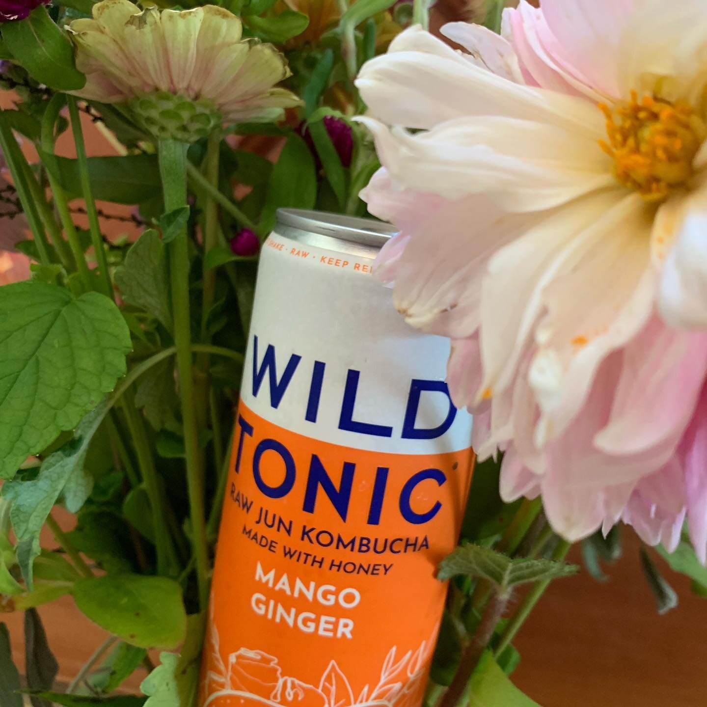 have you read our latest feature friday? @drinkwildtonic is as amazing as it looks! our full interview with founder Holly is linked in our bio