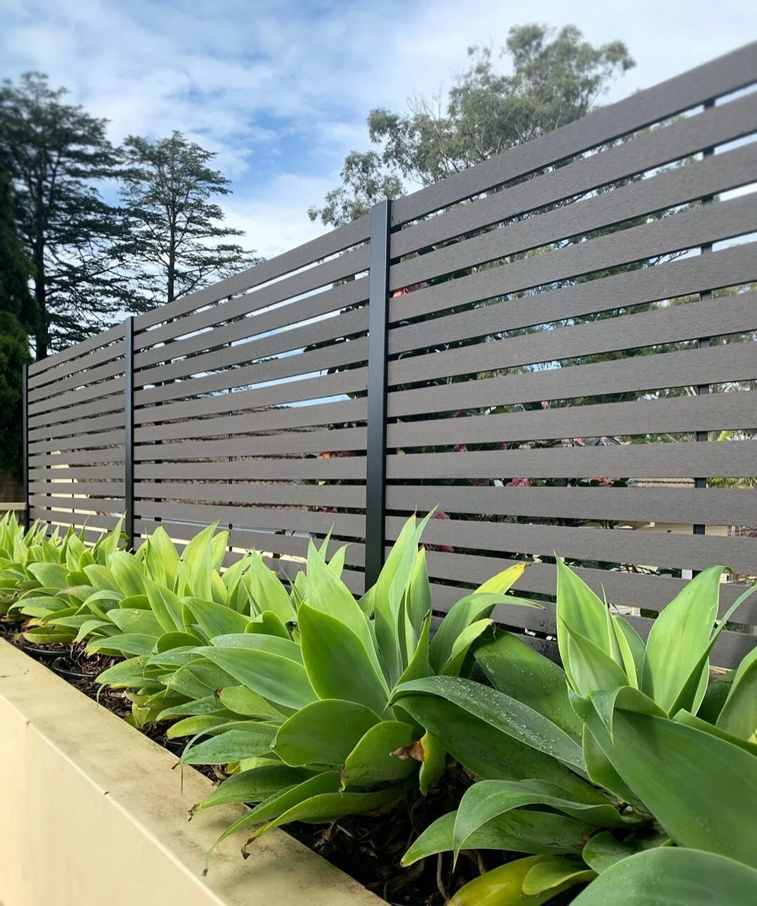Privacy screen we put up this week! 
#ekodeck Colour is &lsquo;Greystone&rsquo; 🎨
We used @whitesthinkingoutside #screenup aluminium posts so the whole structure is maintenance free. ✅
We love doing these! ❤️
If you&rsquo;re considering one for your
