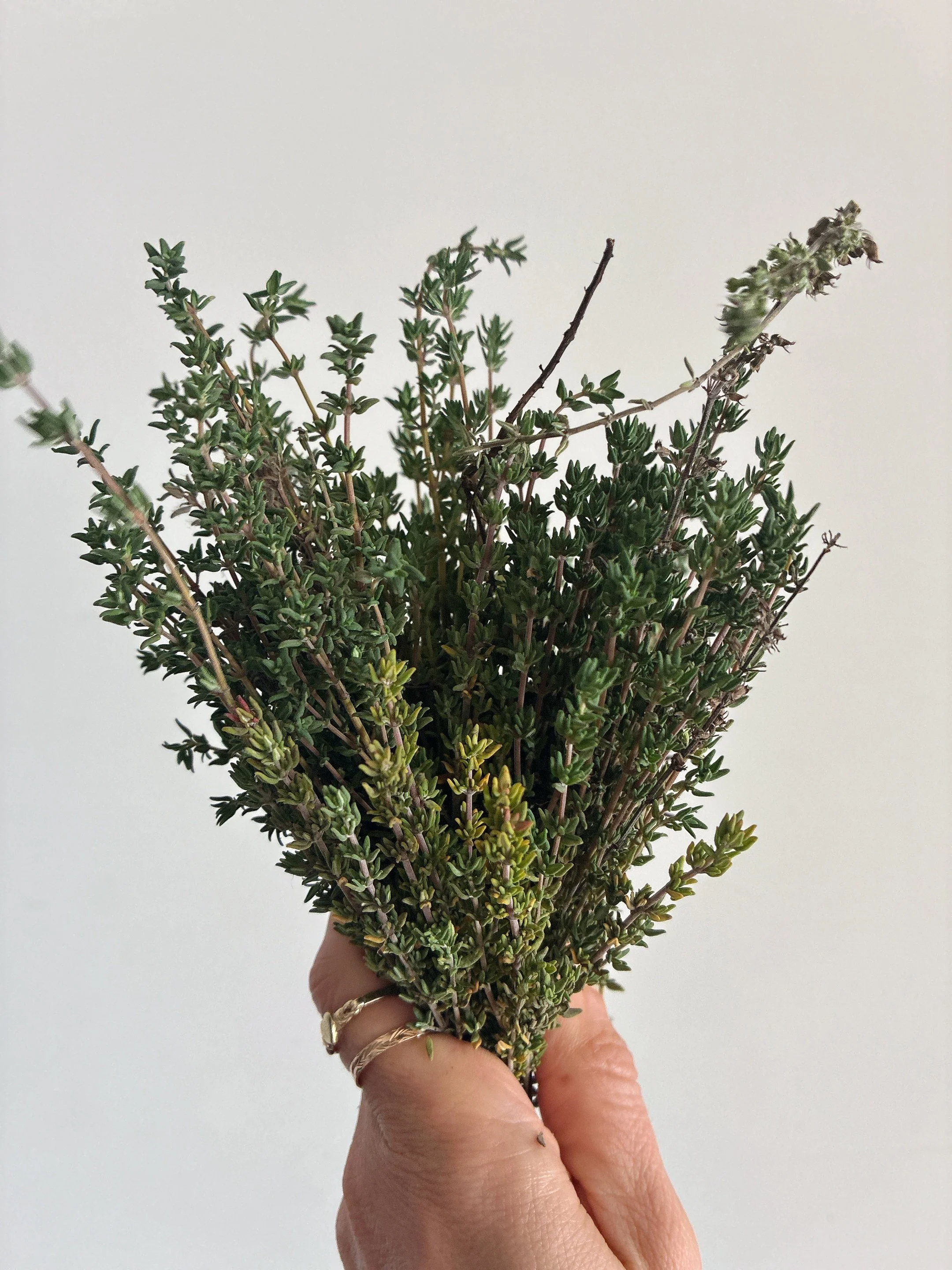 Health-conditions-healing-naturopathy-herbal-medicine