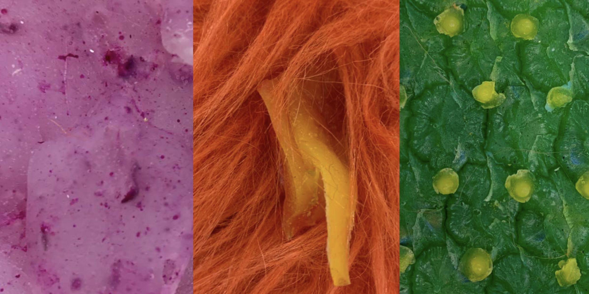 截屏2020-11-15 16.02.37.png