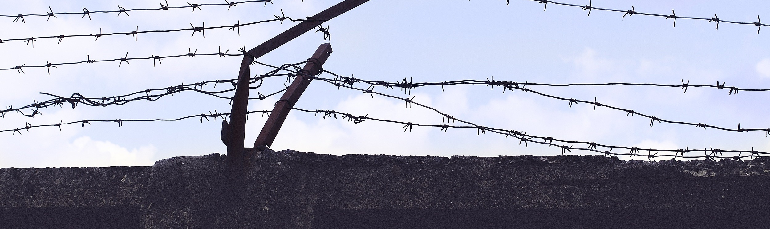 Canva%2B-%2BFreedom%252C%2BWill%252C%2BPrison%252C%2BBarbed%2BWire%252C%2BFencing%252C%2BRun.jpg