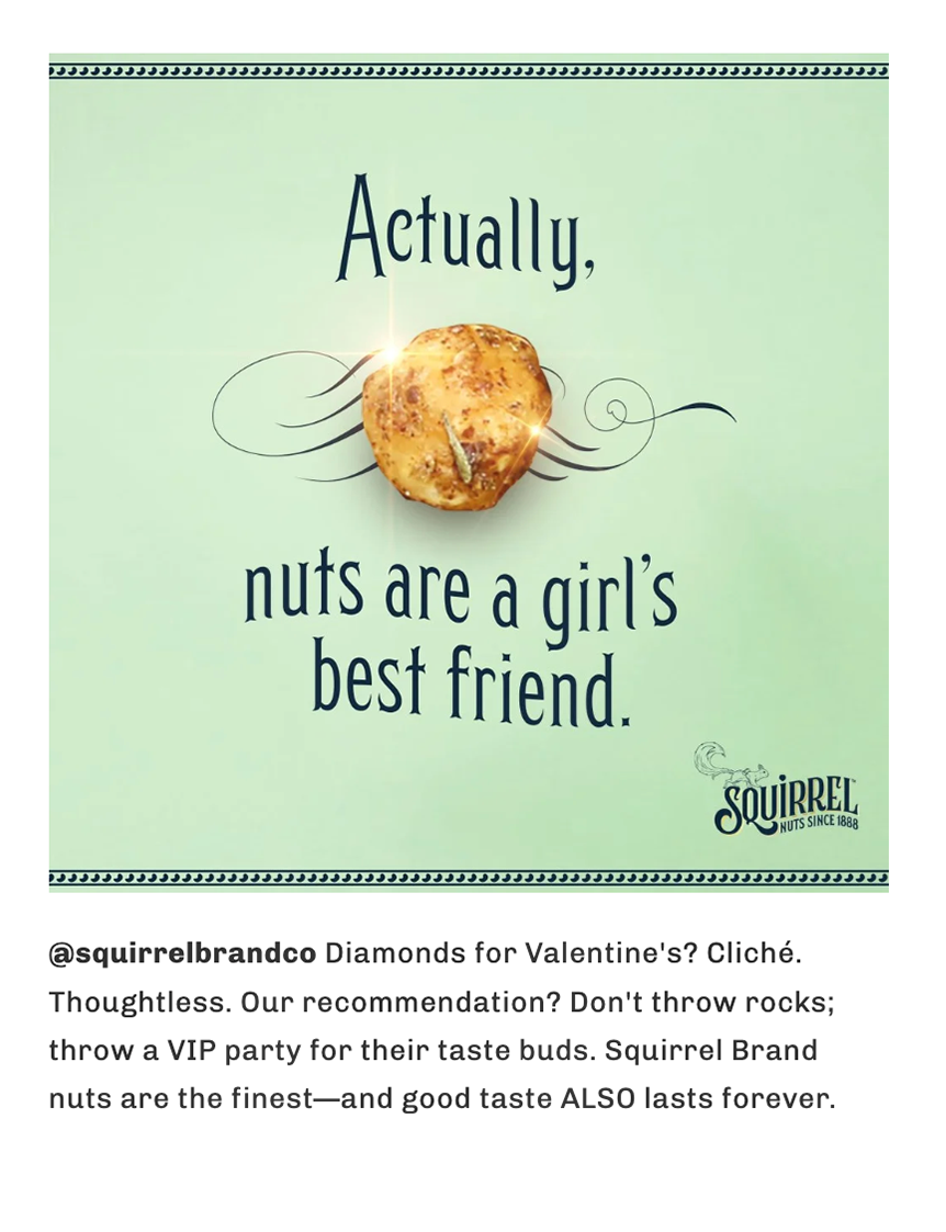 SquirrelSocial_1.png