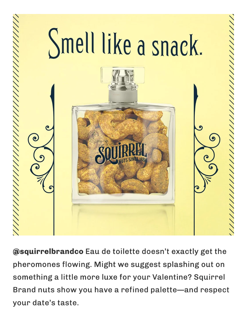 SquirrelSocial_2.png