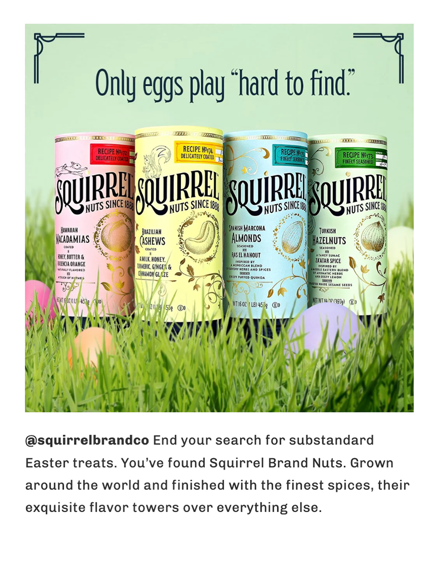 SquirrelSocial_6.png