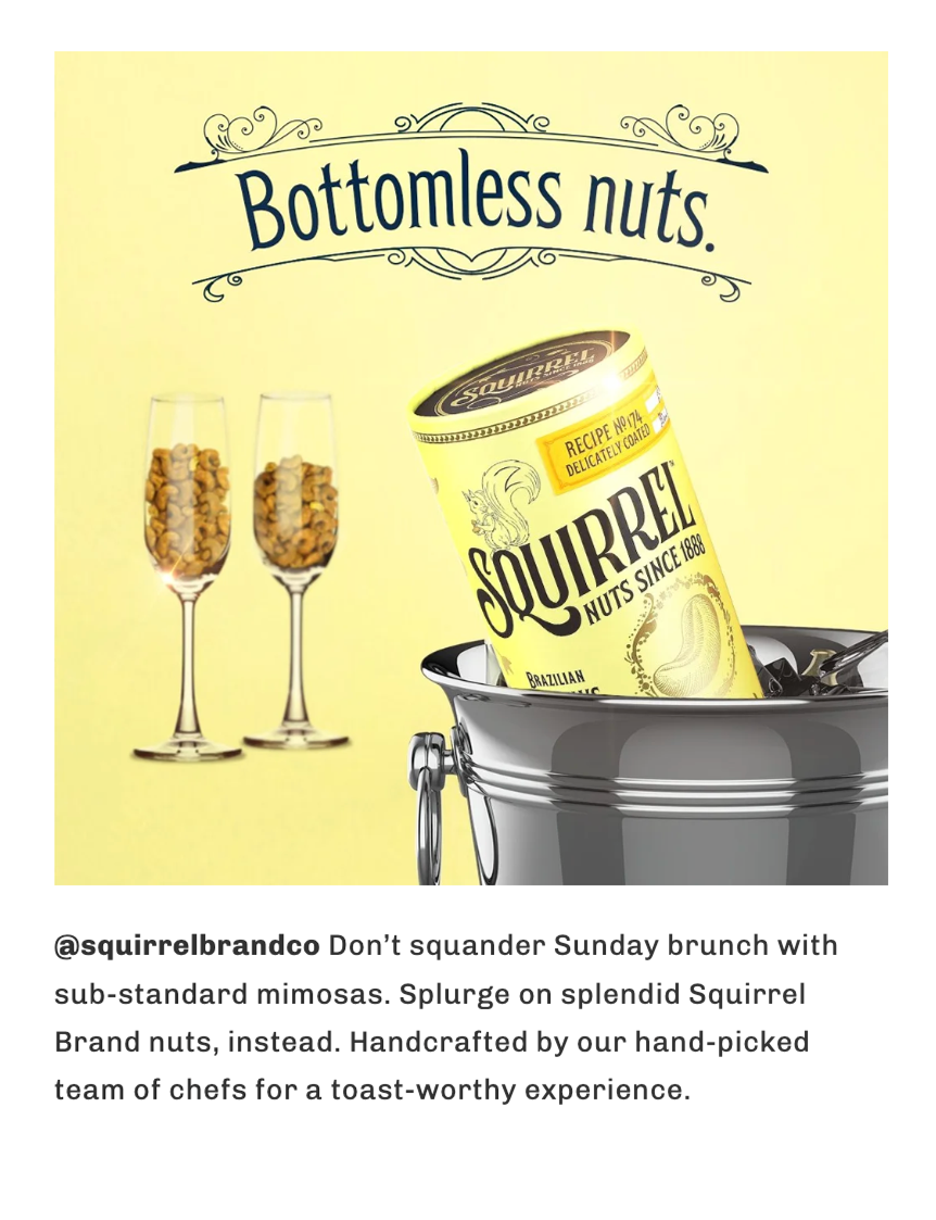 SquirrelSocial_7.png