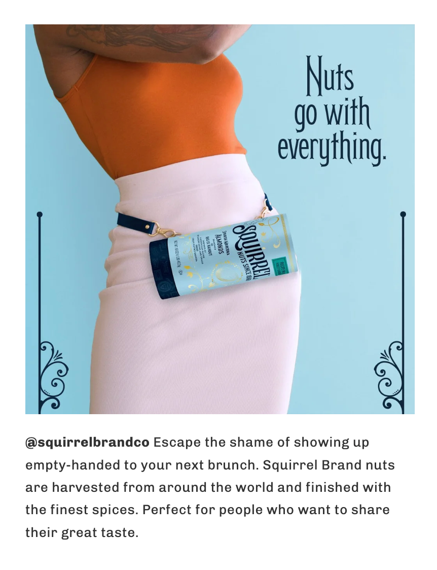 SquirrelSocial_8.png