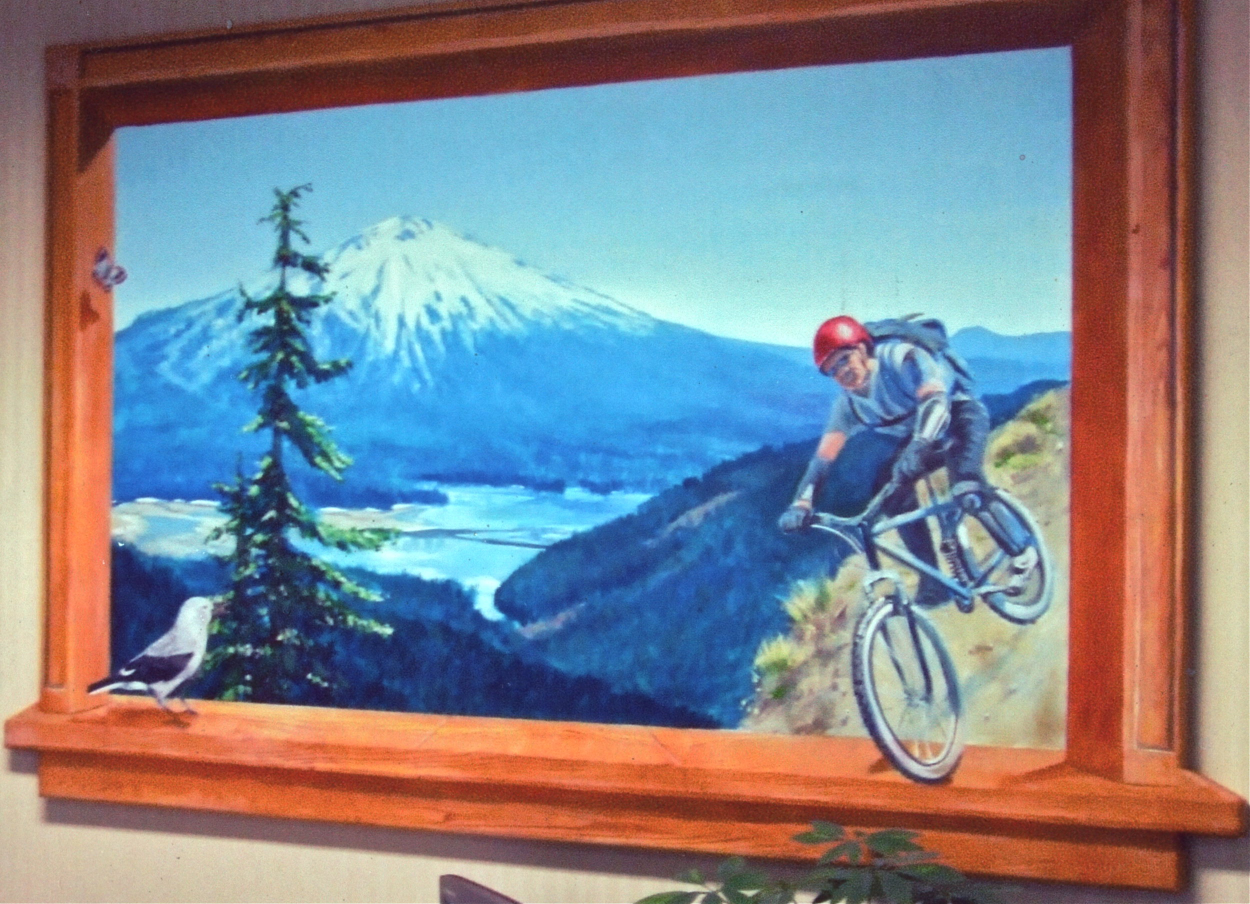 bike window_2.jpeg