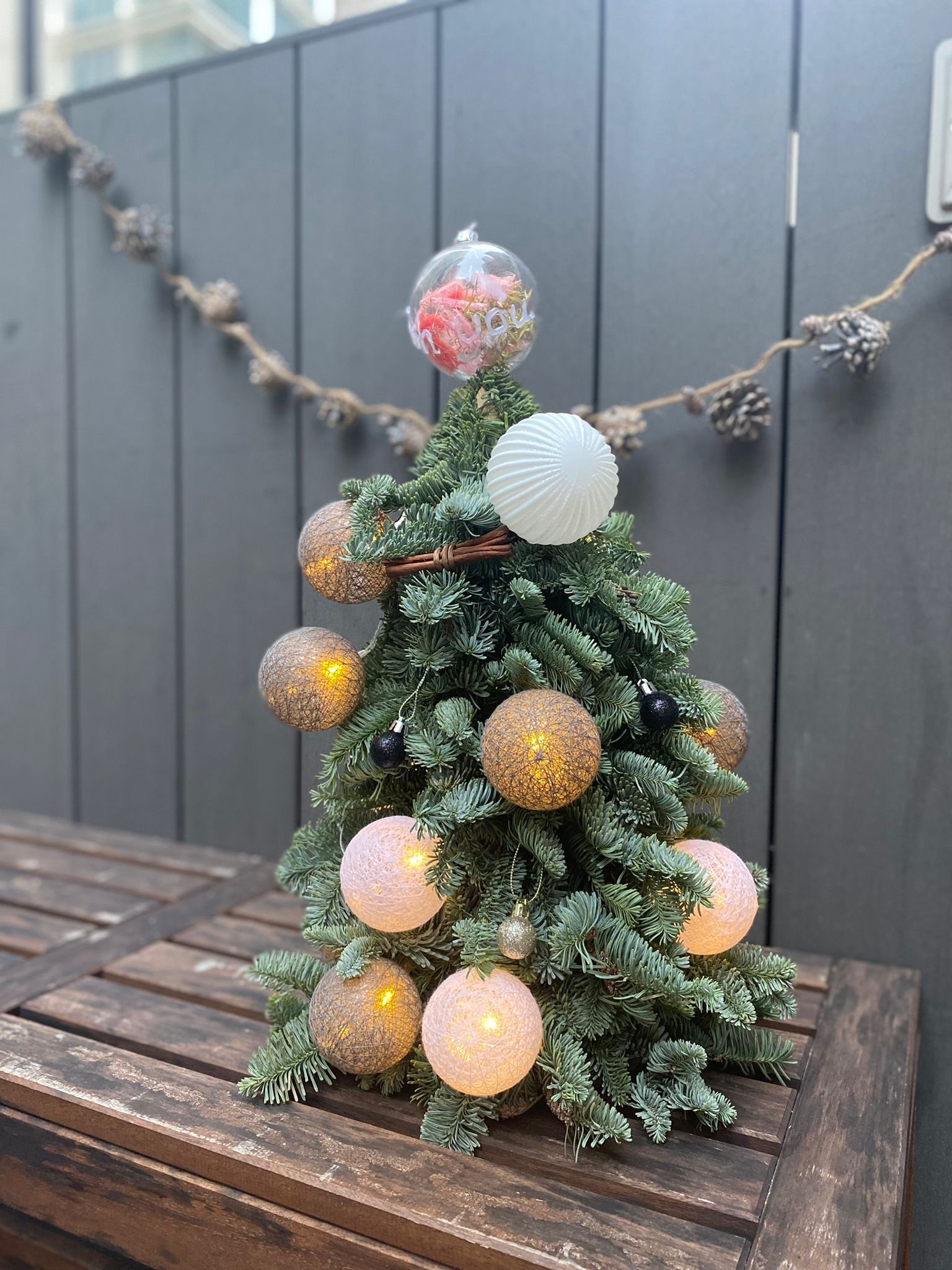 WhatsApp Image 2021-12-05 at 11.42.11 PM.jpeg