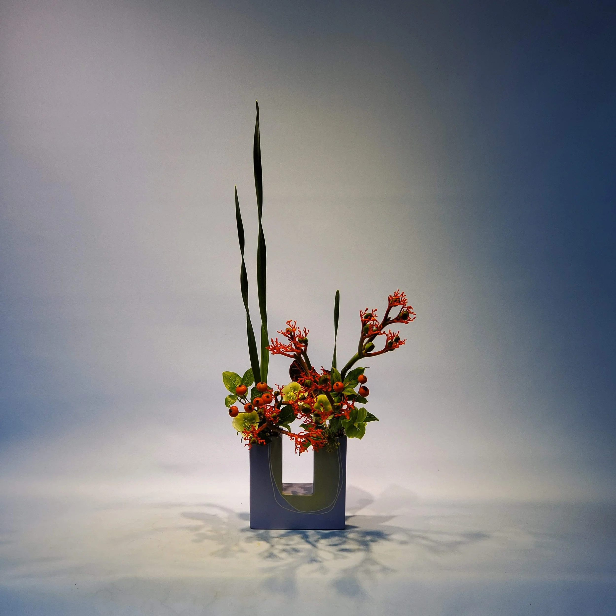 20201213_142009.jpg