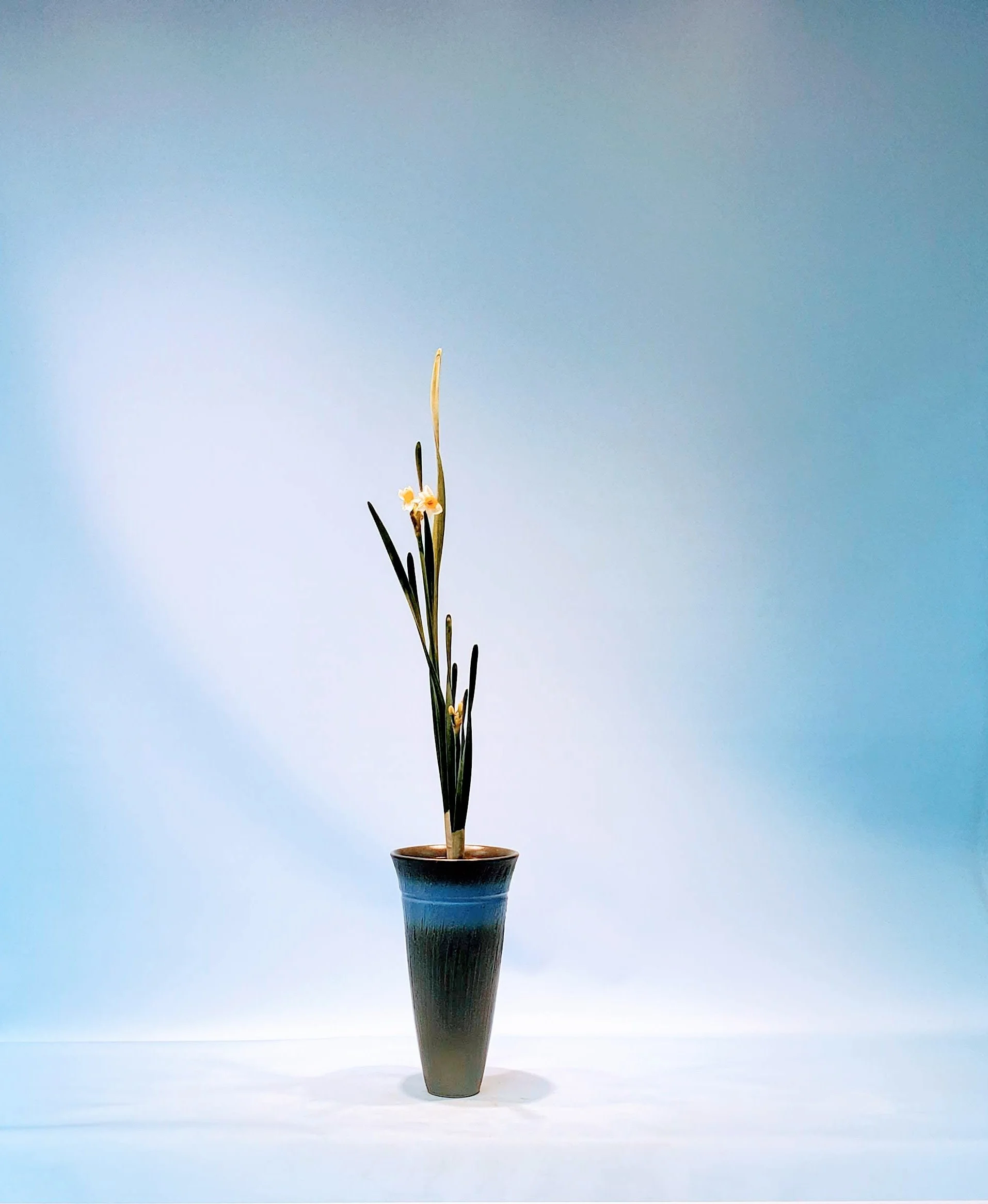 20201213_121920.jpg