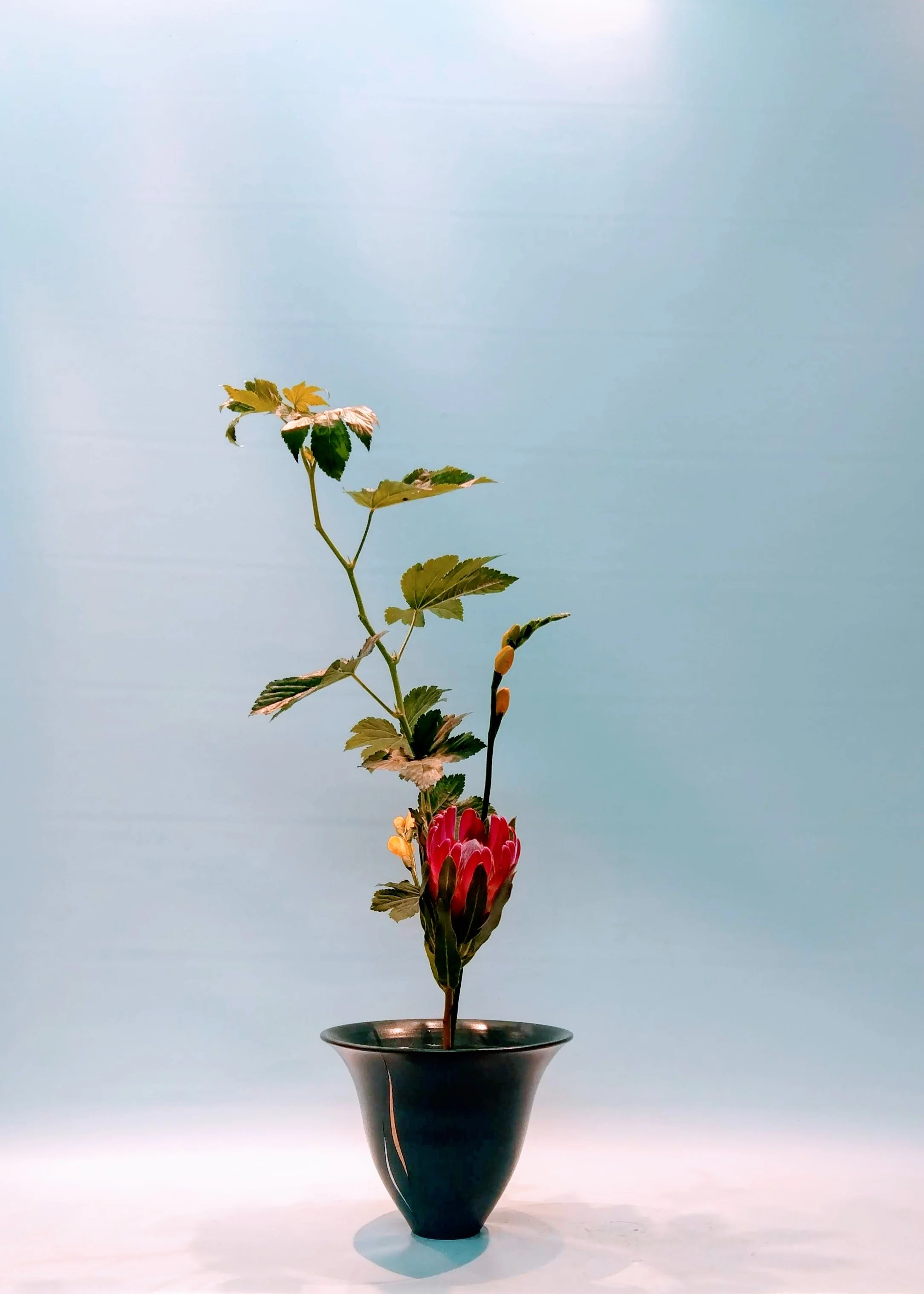 IMAG0979.jpg