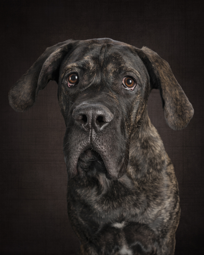 Duke03.jpg