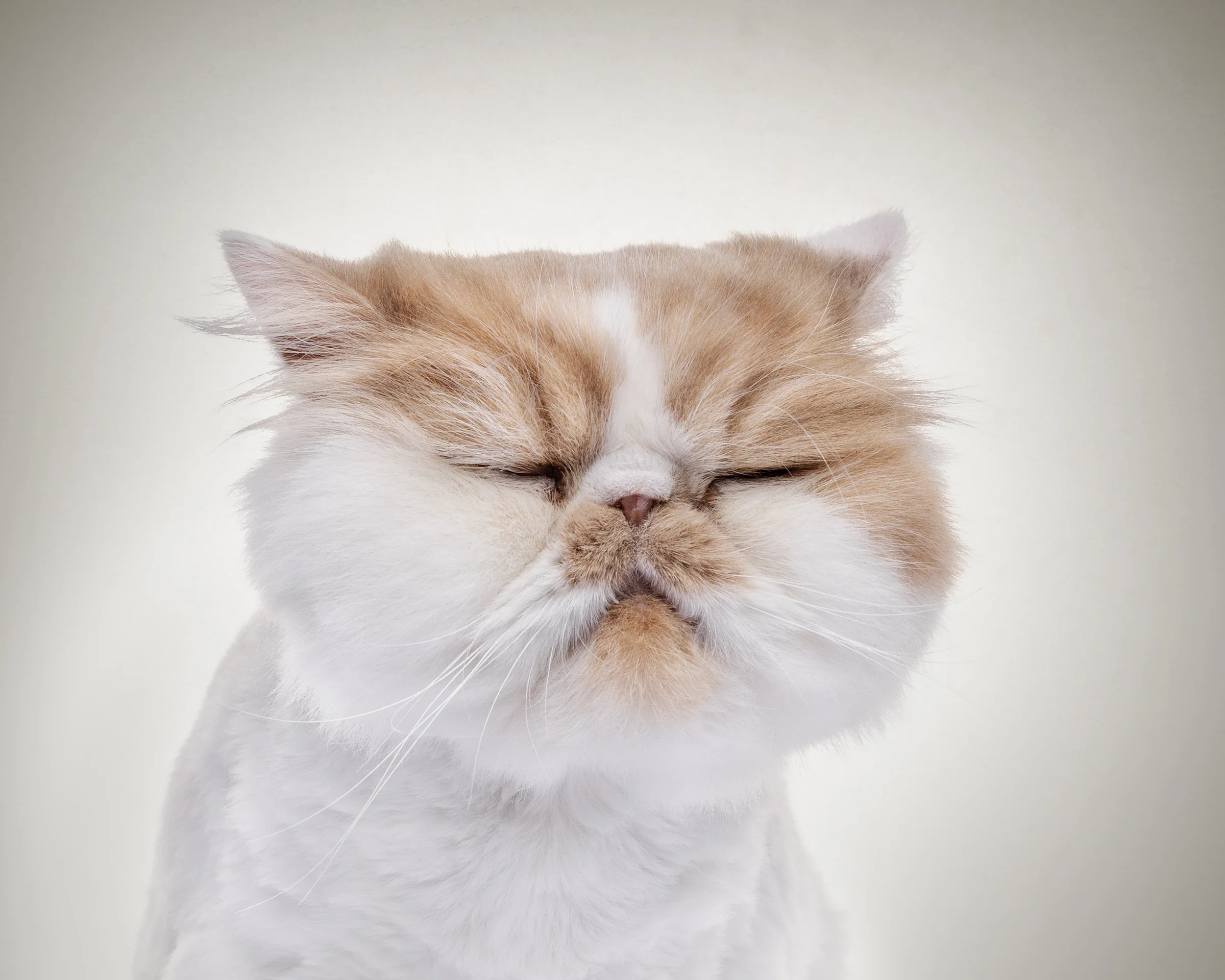 Bagpuss03.jpg