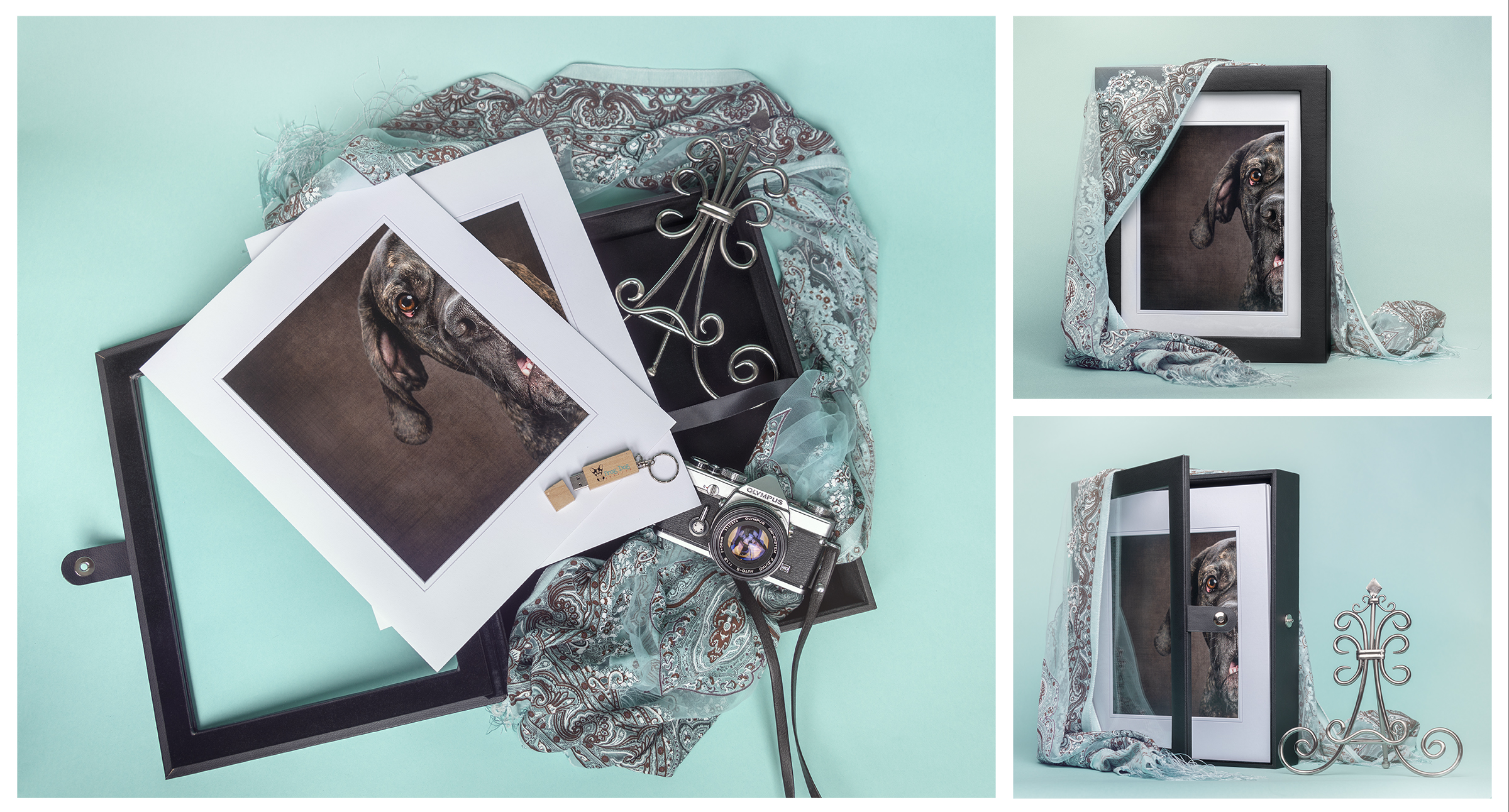 Portfolio Box Full Layout.jpg