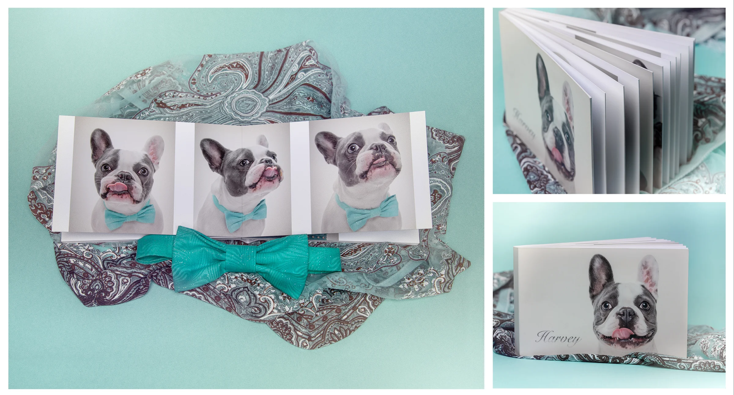 Portfolio Album Full Layout.jpg