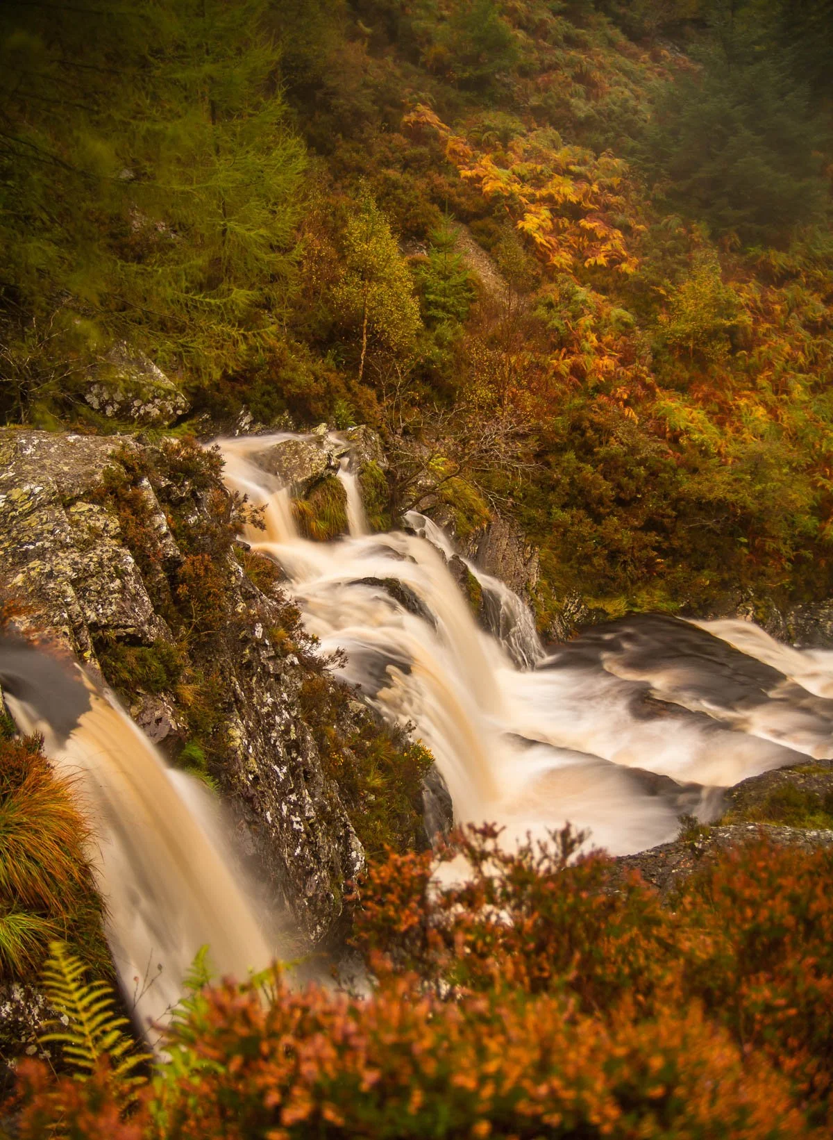 Lake Vyrnwy (39 of 65).jpg