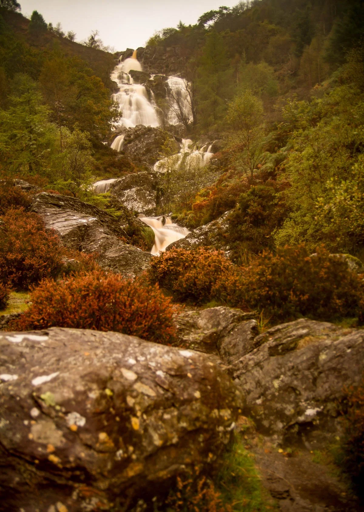 Lake Vyrnwy (41 of 65).jpg