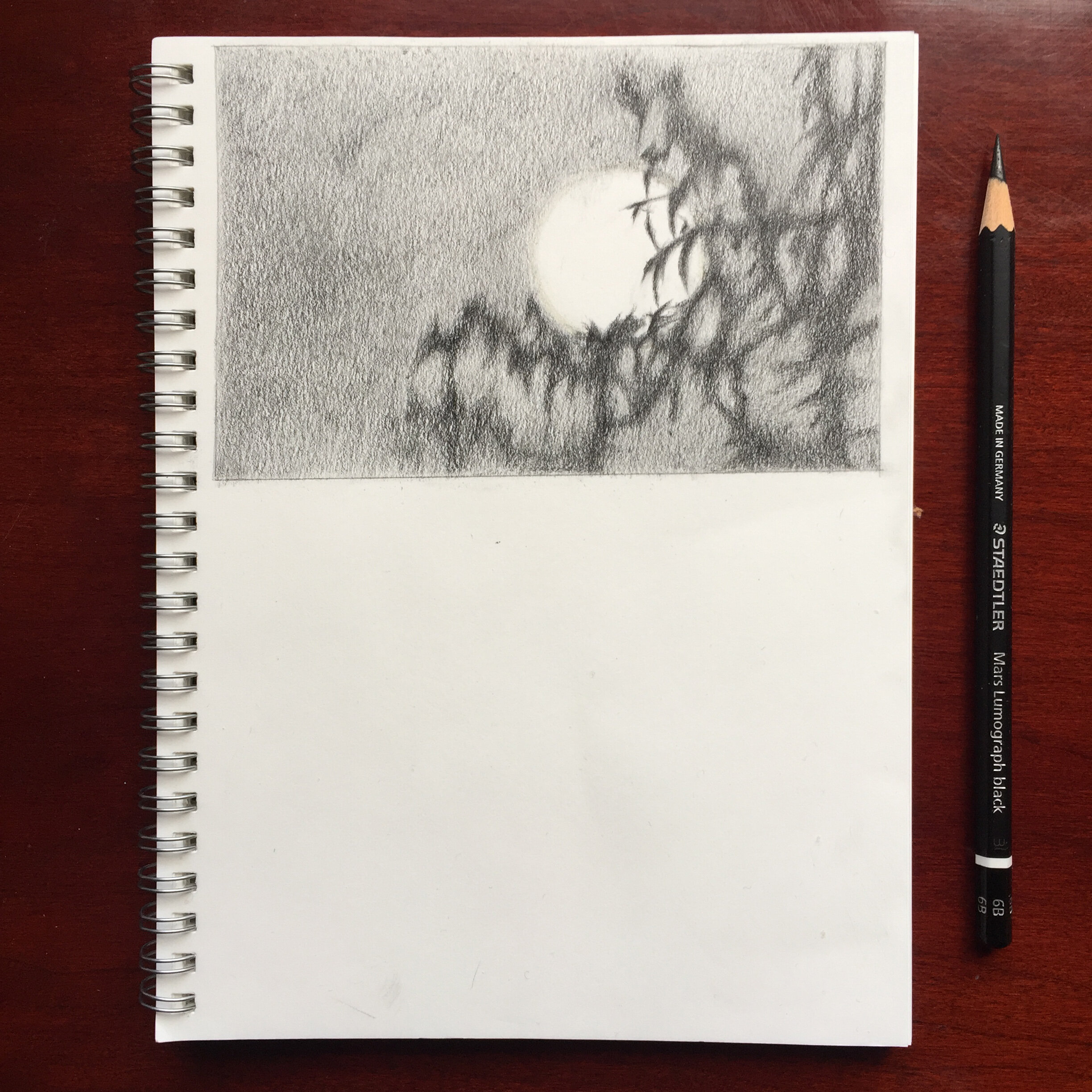 Italian paper nighscape.JPG